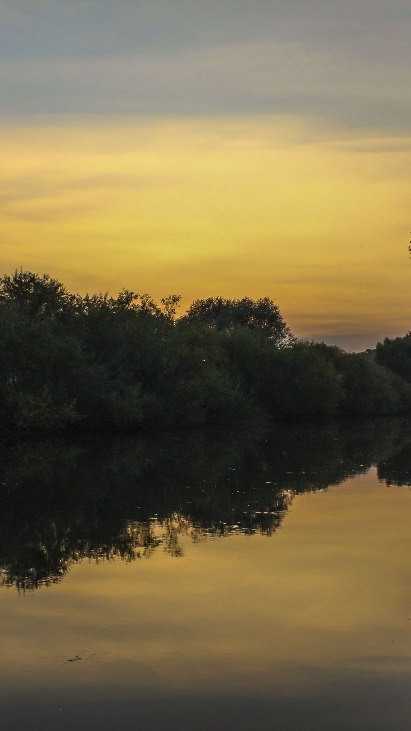 Evening by the river, Serenity, Peaceful surroundings, Relaxing atmosphere, 1440x2560 HD Phone