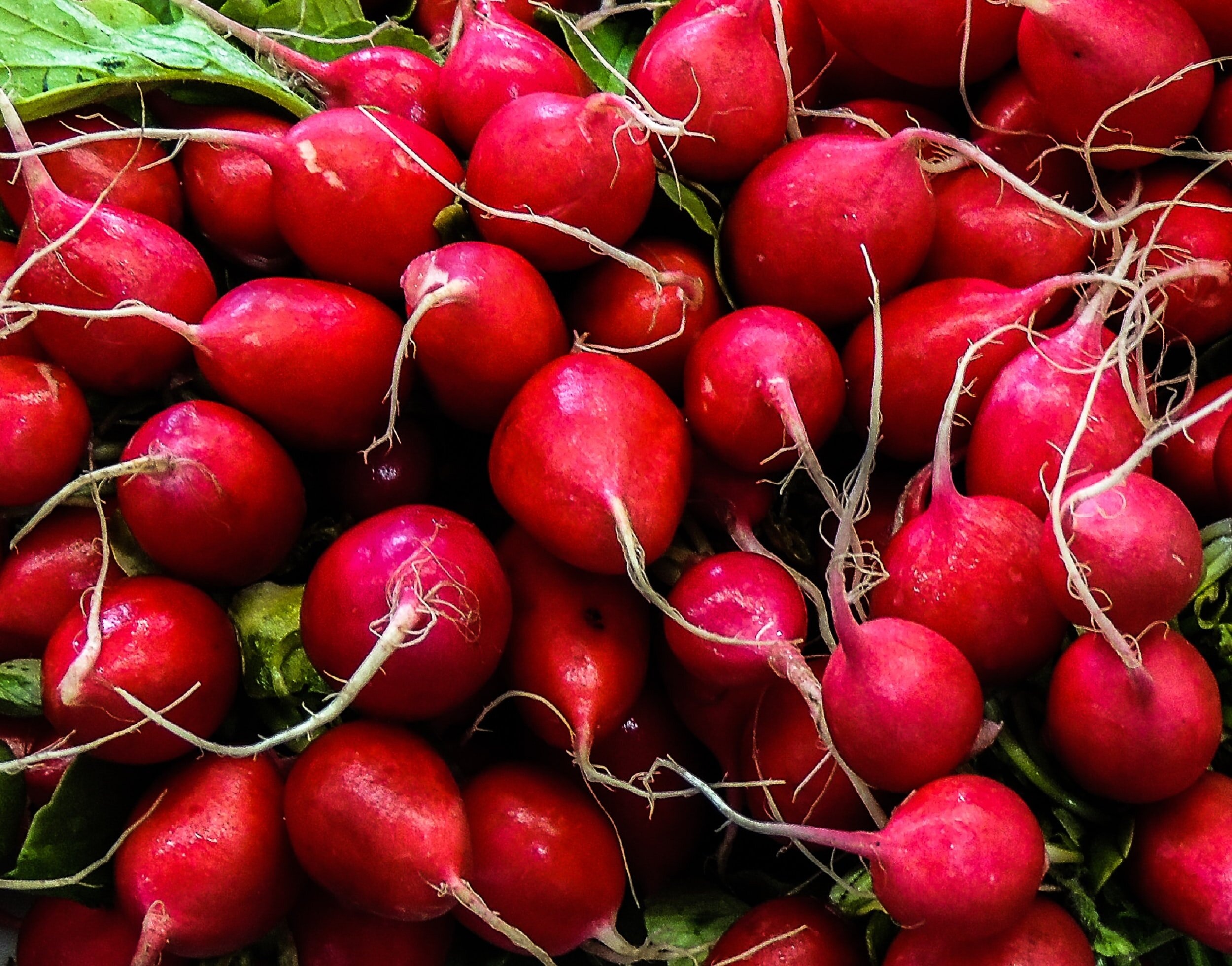 Produce, Long term storage, Positively probiotic, 2500x1960 HD Desktop
