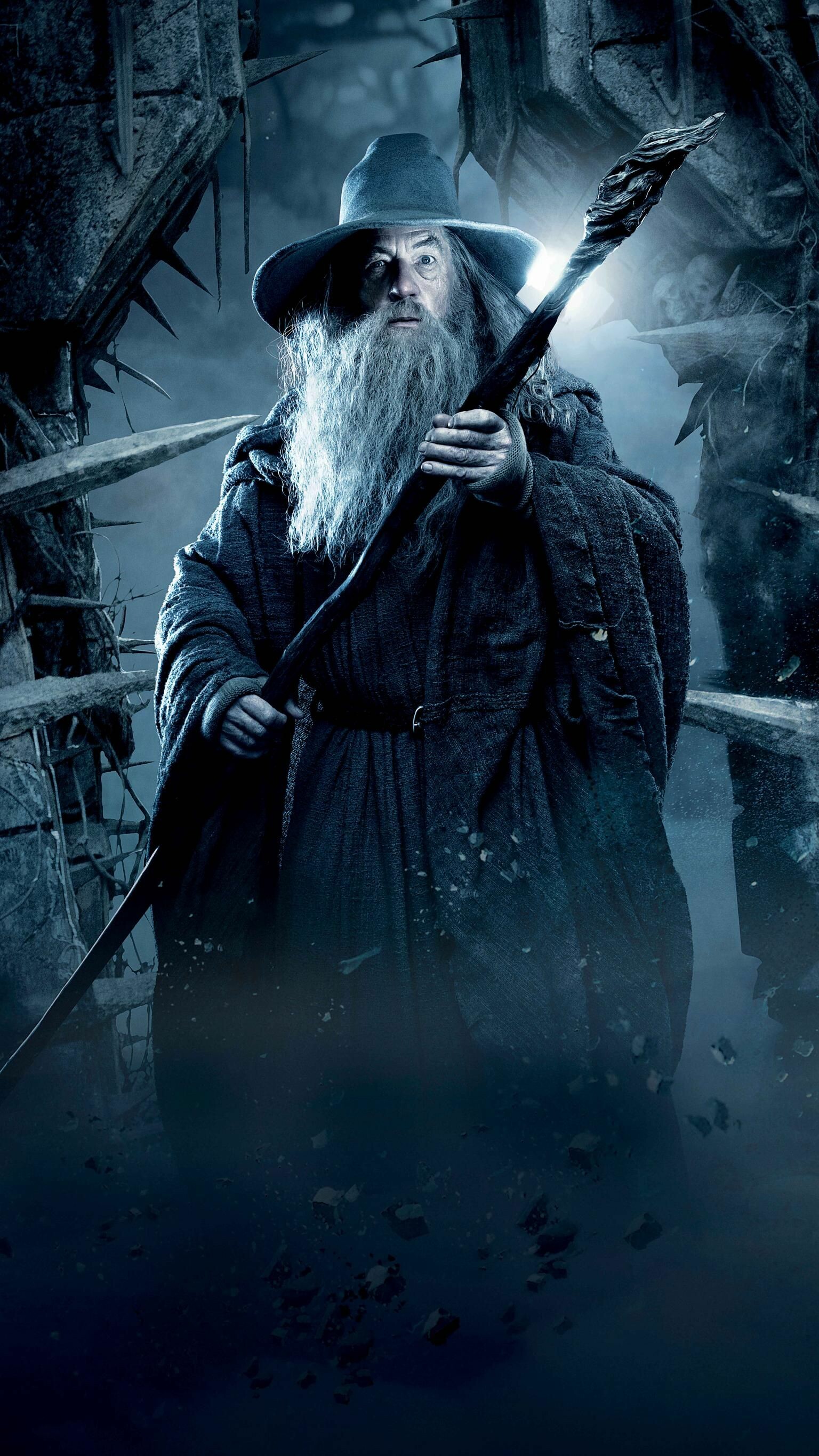 Gandalf, The Hobbit Wallpaper, 1540x2740 HD Phone