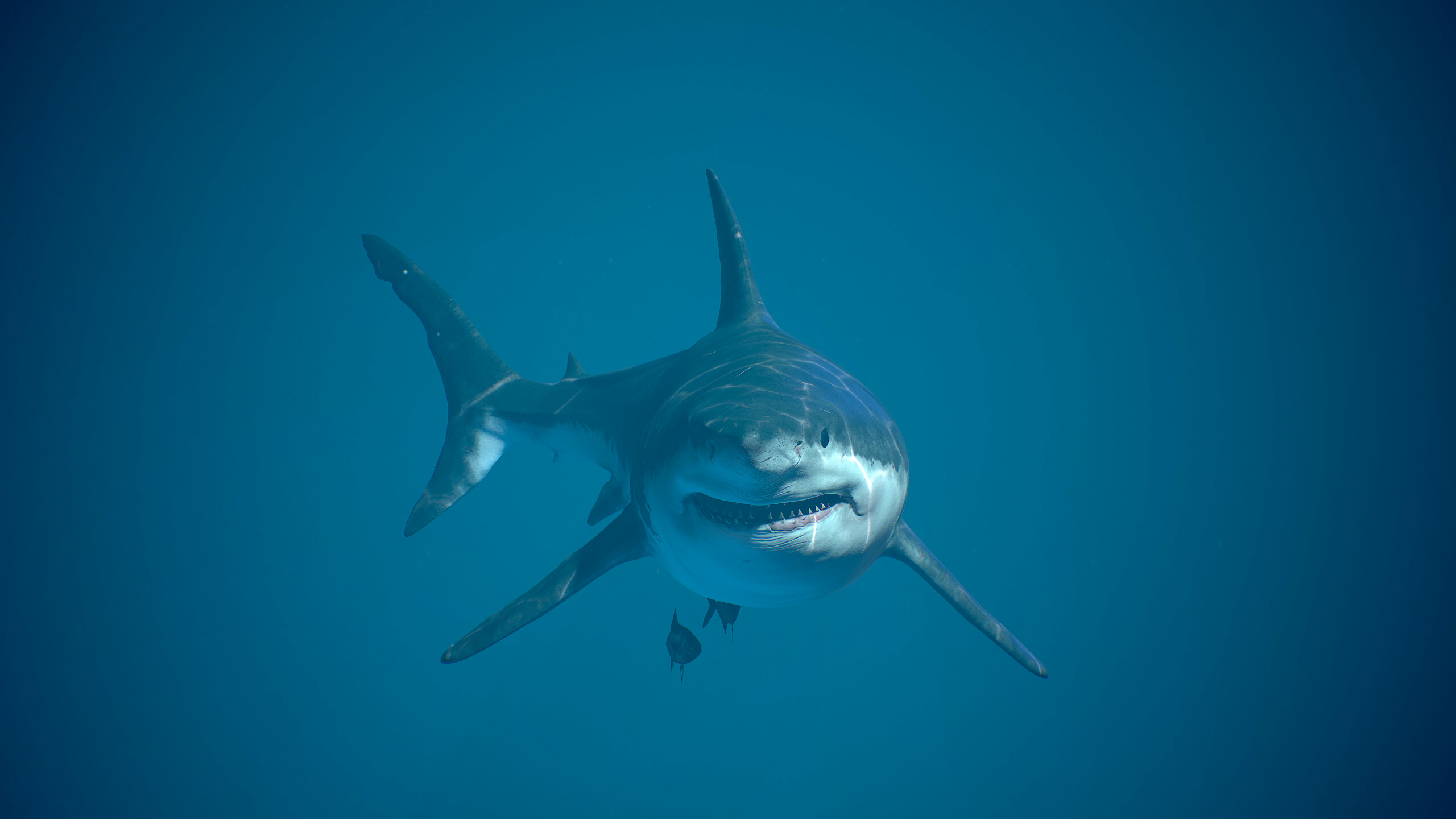 Great white shark, ArtStation, 2560x1440 HD Desktop