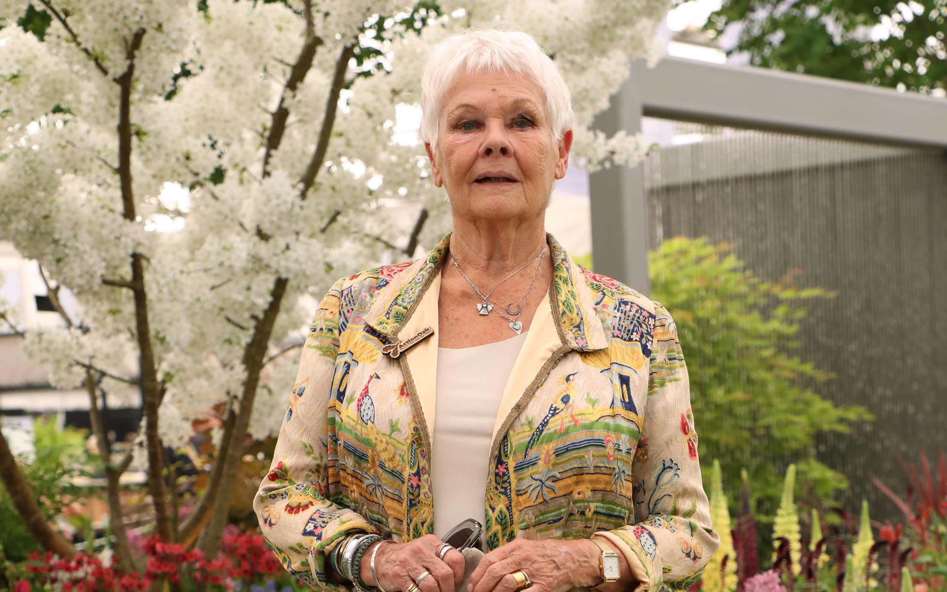 Judi Dench, Movies, 1920x1200 HD Desktop