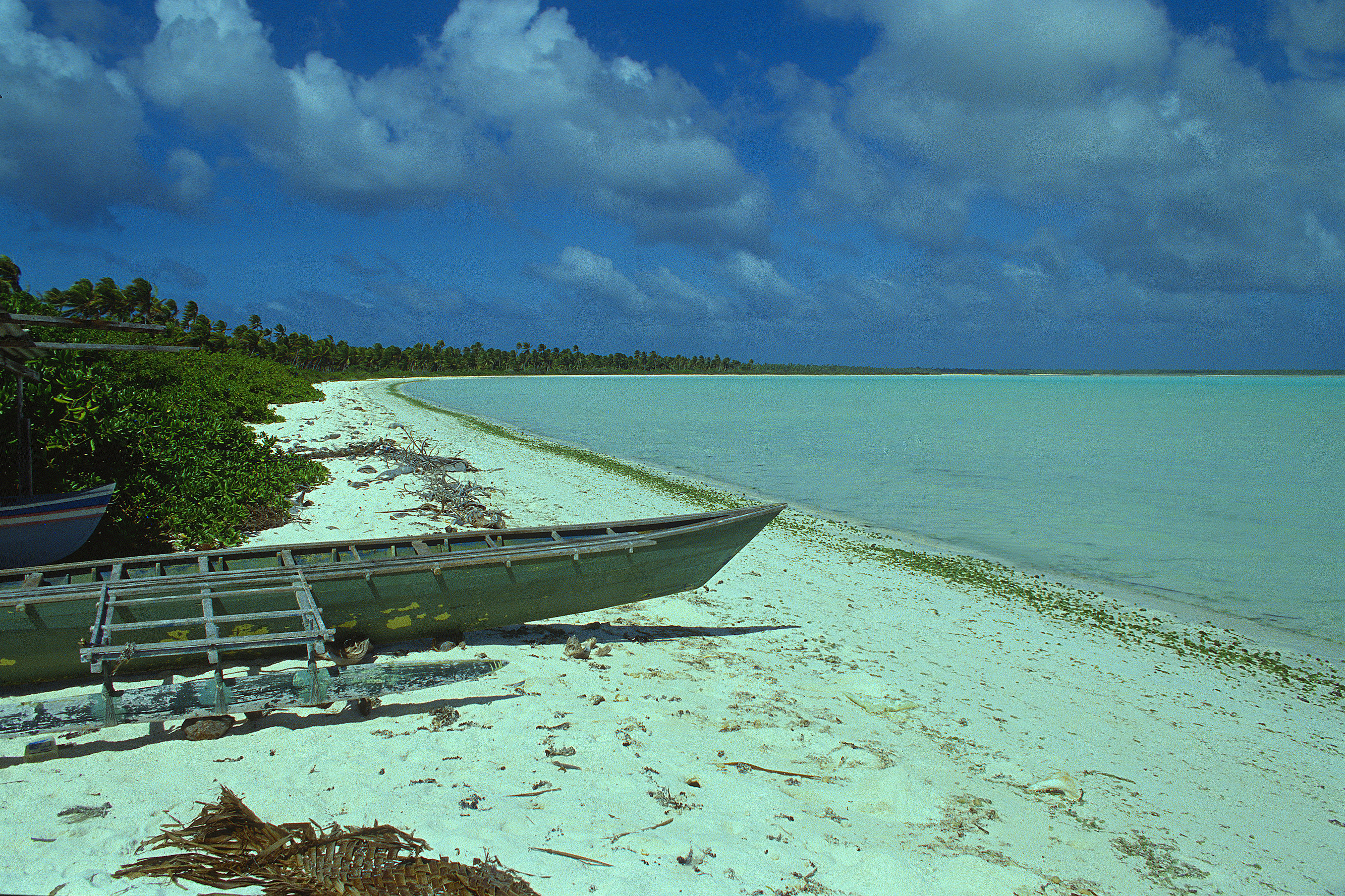 Idyllic escape, Diving paradise, Untouched underwater world, Marine biodiversity, 2670x1780 HD Desktop