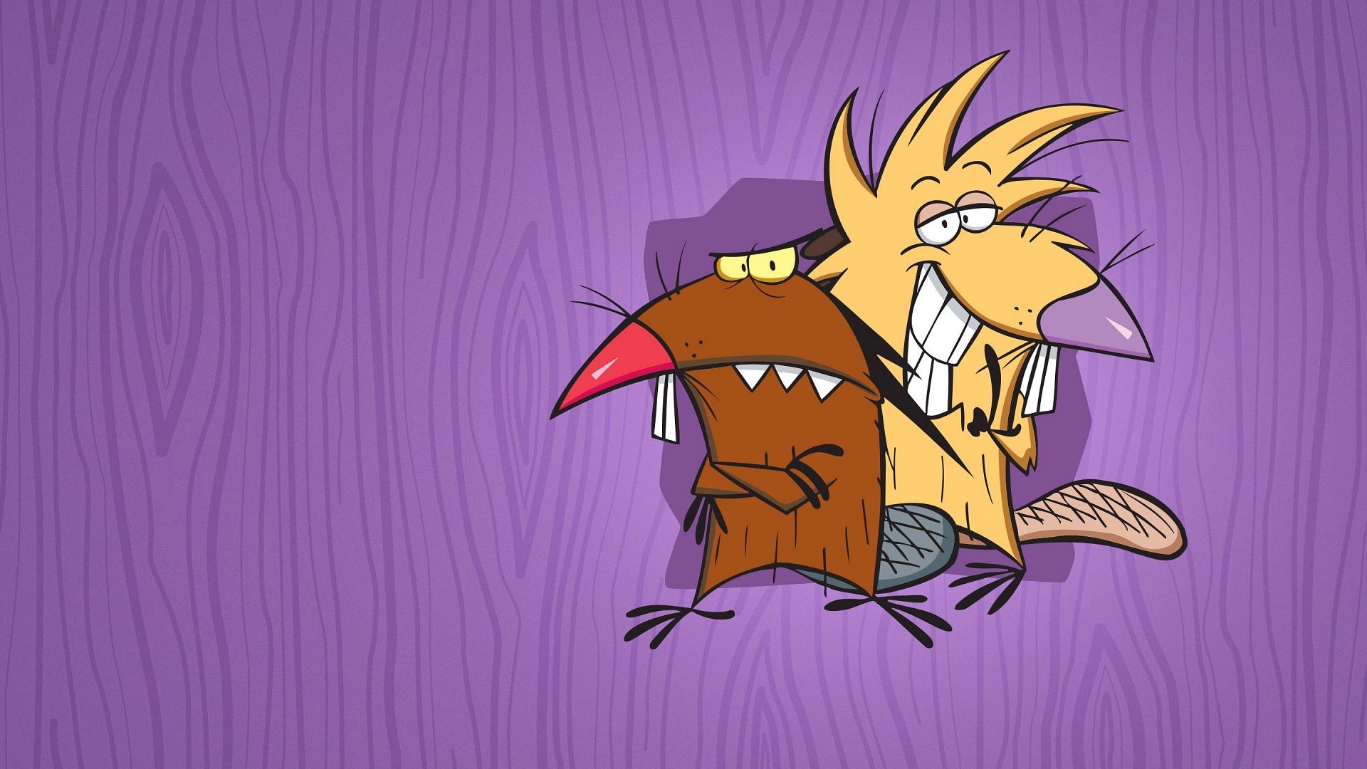 Angry beavers, TV series, Animation, Ryan Thompson, 1920x1080 Full HD Desktop