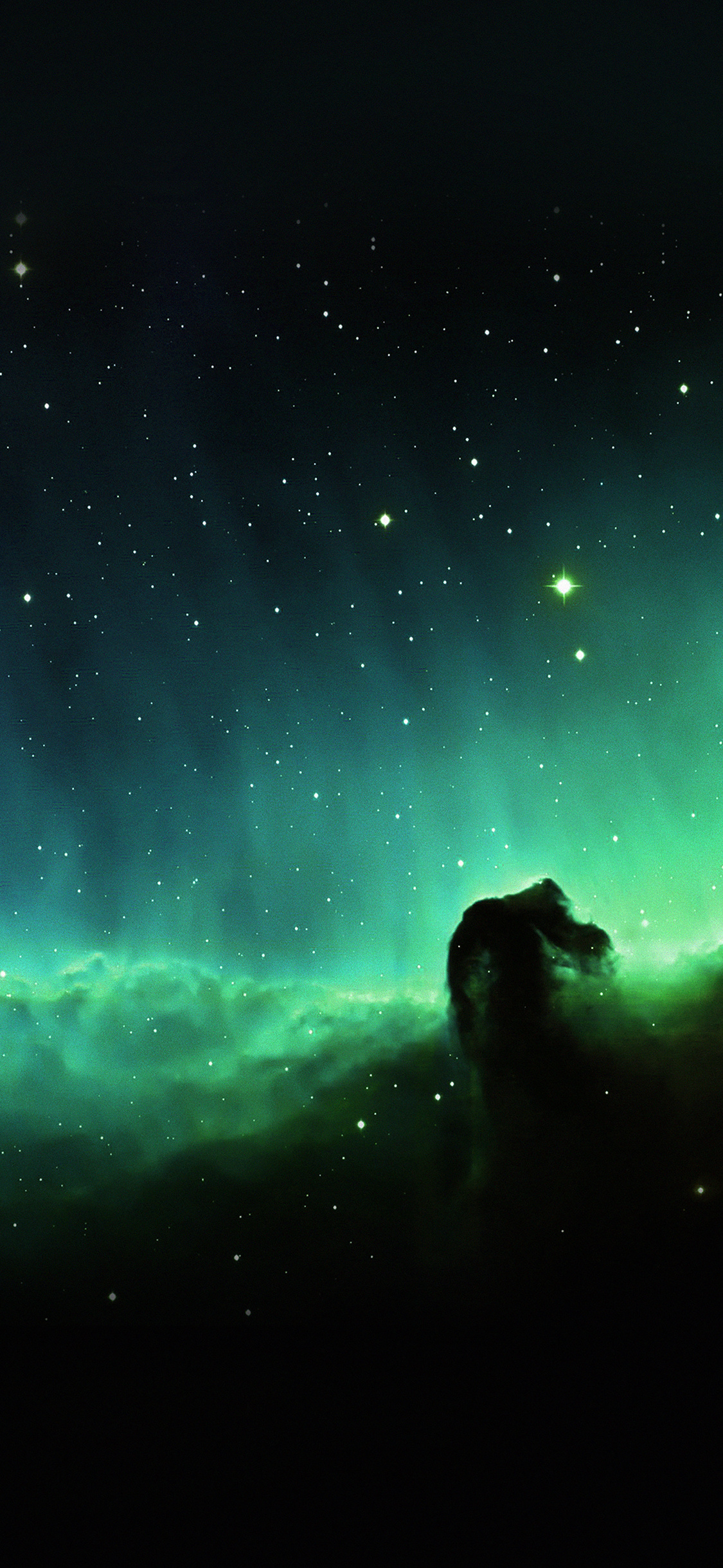 Green Nebula, Horse head, Blue sky, Stars, 1130x2440 HD Phone