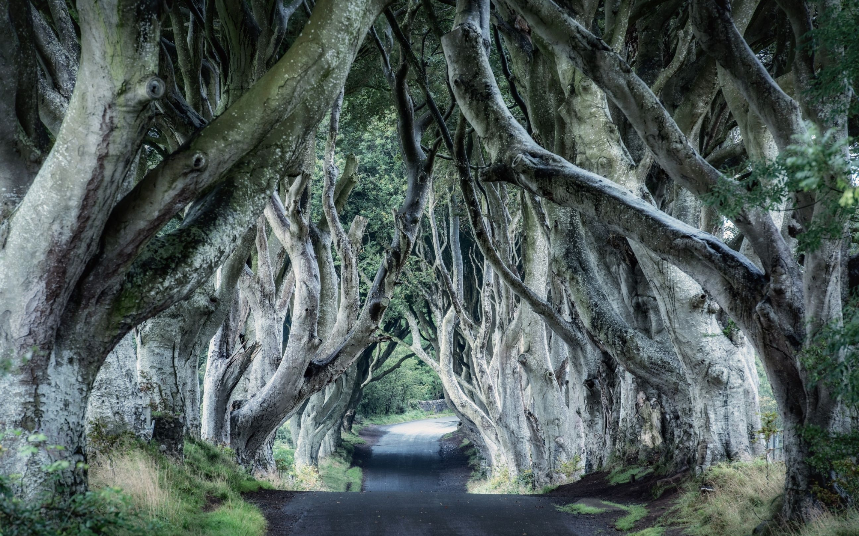 Northern Ireland, 4K backgrounds, 2880x1800 HD Desktop