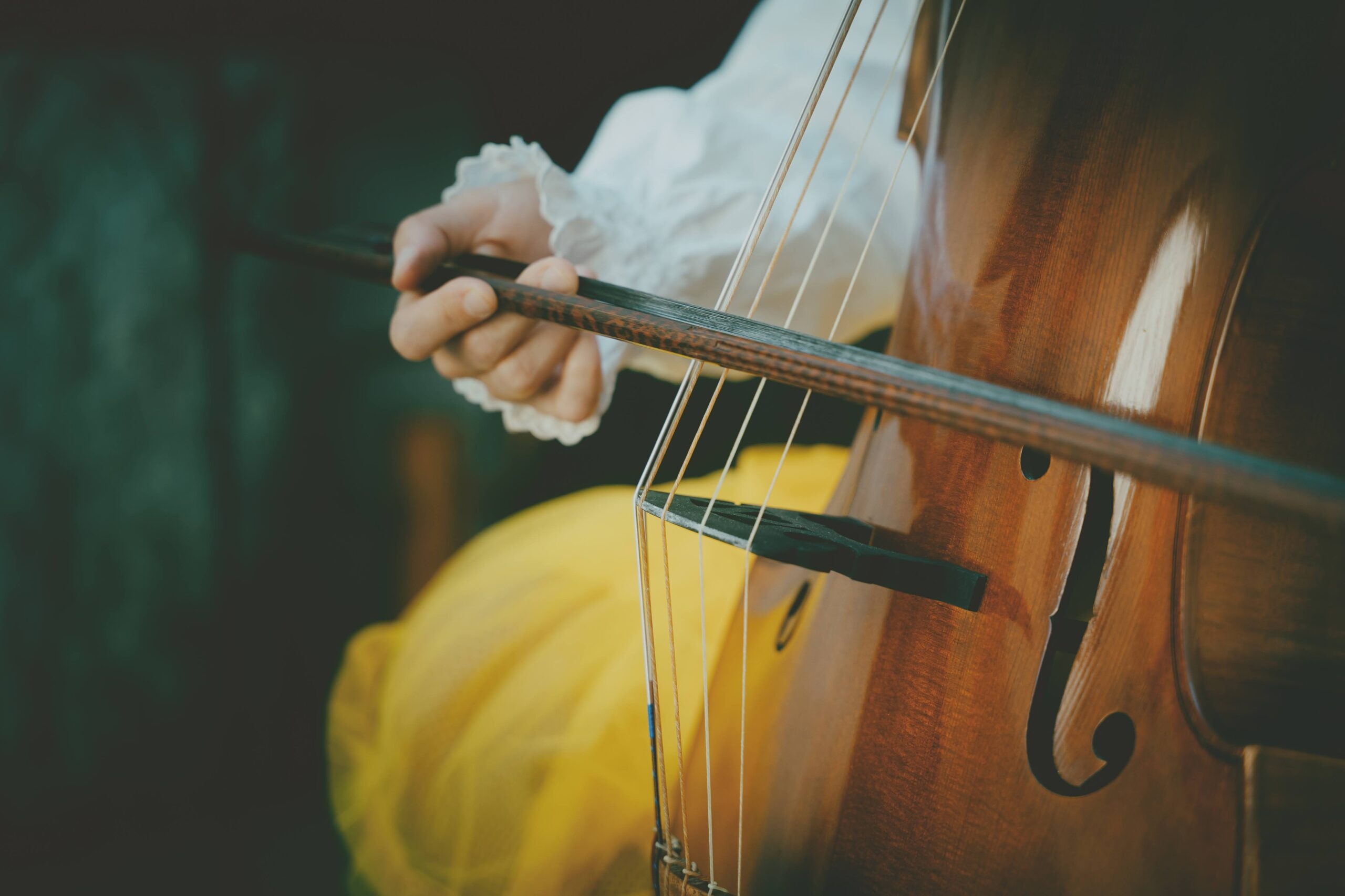 Viola da Gamba music, Mujeres en la msica, Pilar almal interview, Maldita mara performance, 2560x1710 HD Desktop