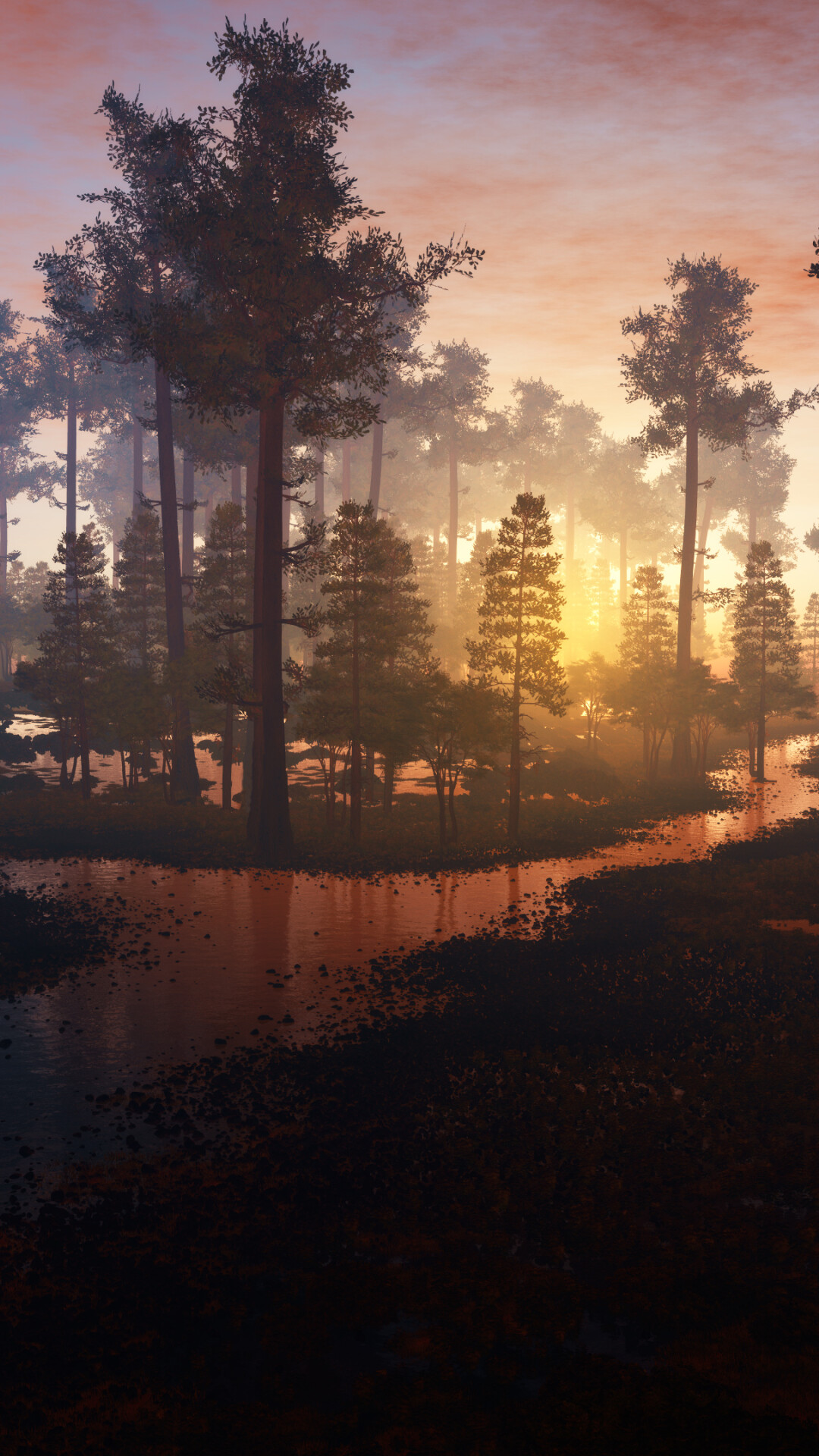 Morning in the forest, Stunning beauty, Captivating landscapes, Nature's tranquility, 1080x1920 Full HD Phone