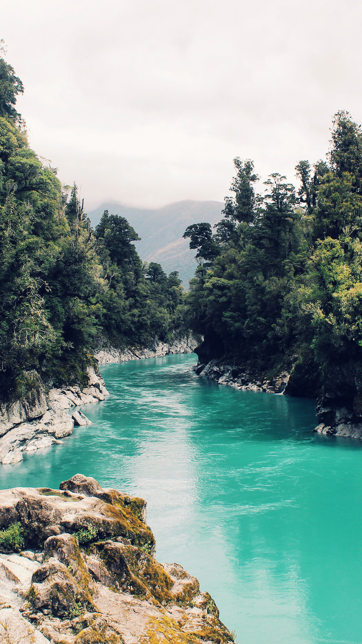 turquoise glacial river gorge, dense temperate rainforest, mossy canyon rock formations, HD Phone wallpaper