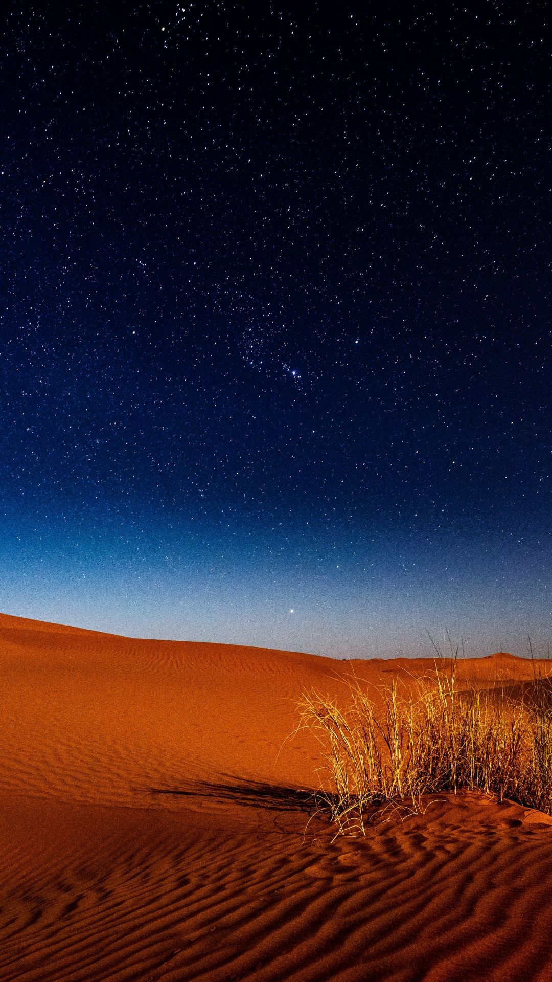clear starry night sky, rippled desert sand dunes, dry desert grass, Full HD Phone wallpaper