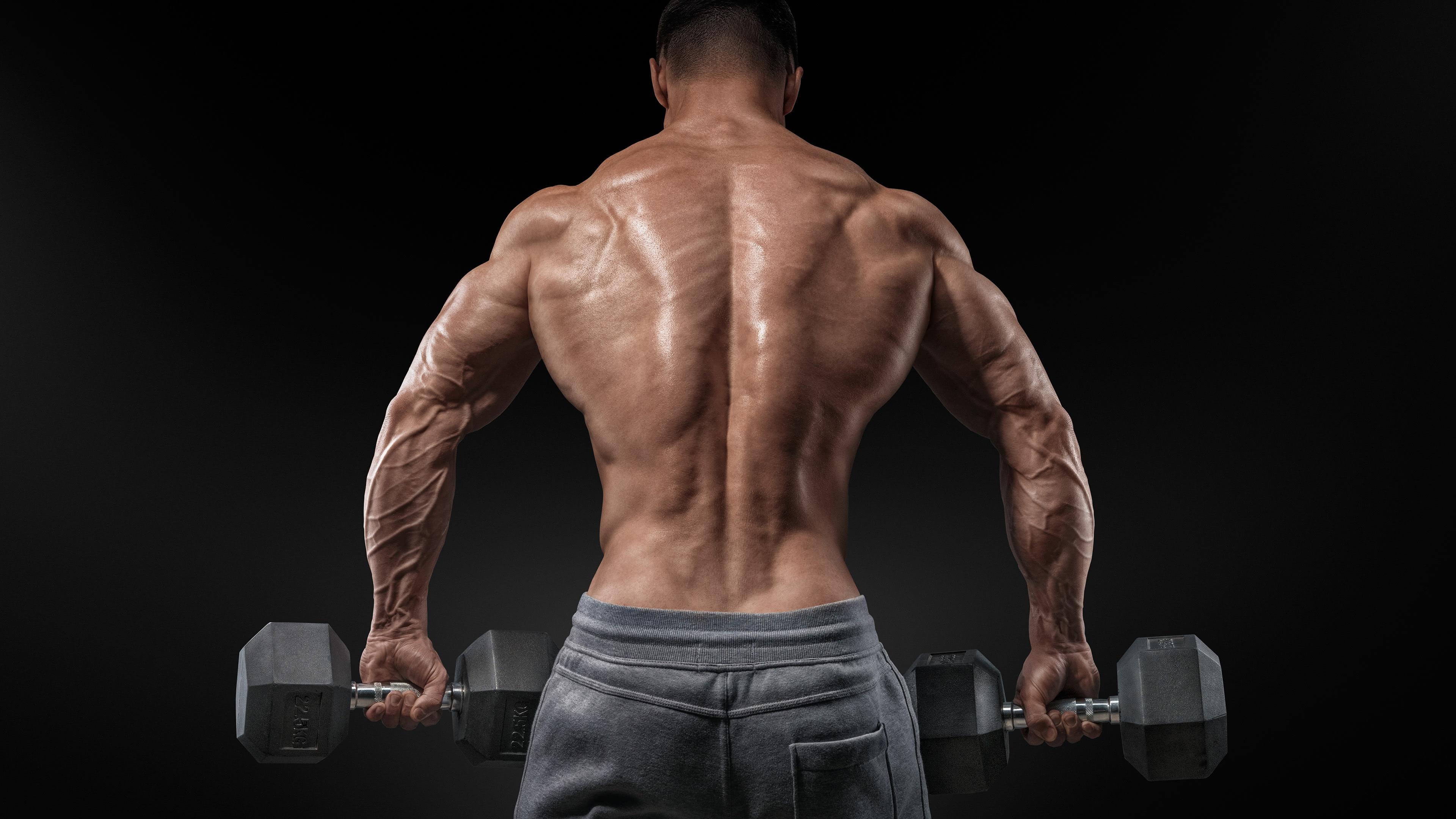 Muscular male back, Hexagonal iron dumbbells, Vascular muscular arms, 4K Desktop wallpaper