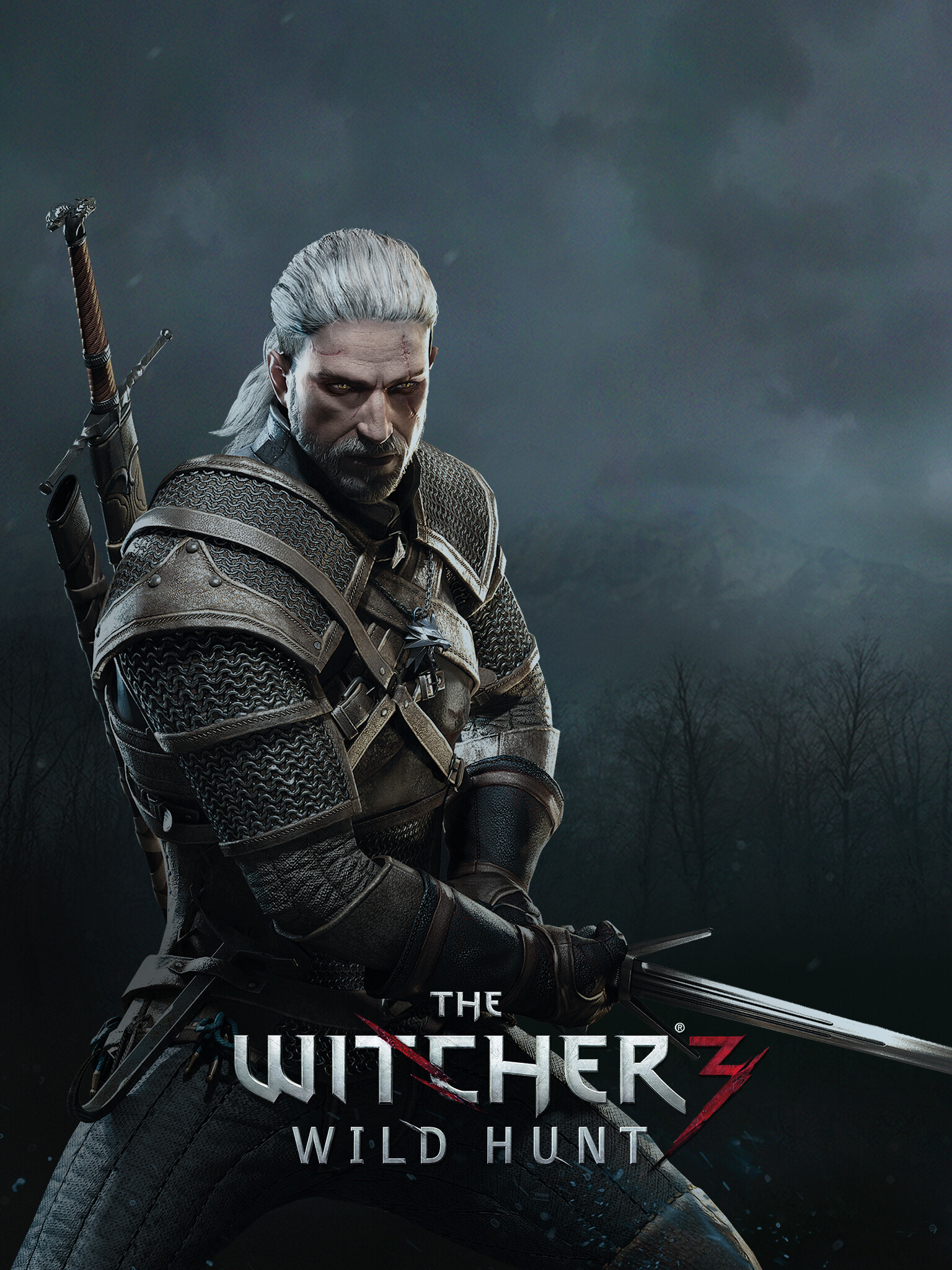 The Witcher gaming, iPad wallpaper, Witcher 3, Fantasy world, 1540x2050 HD Phone