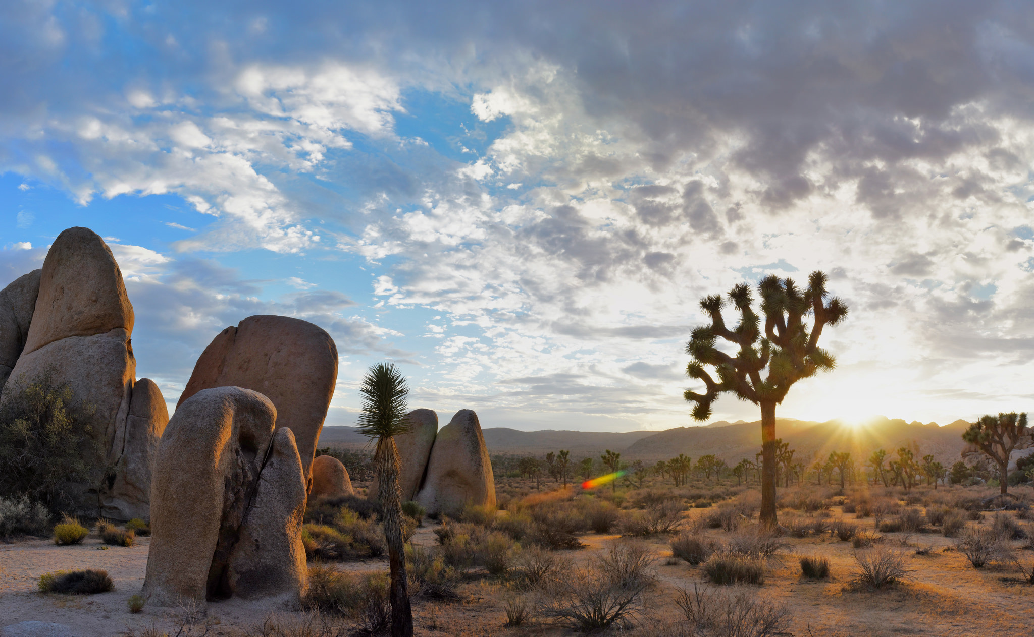 Joshua Tree, California 2022, Explore guide, Time out, 2050x1270 HD Desktop