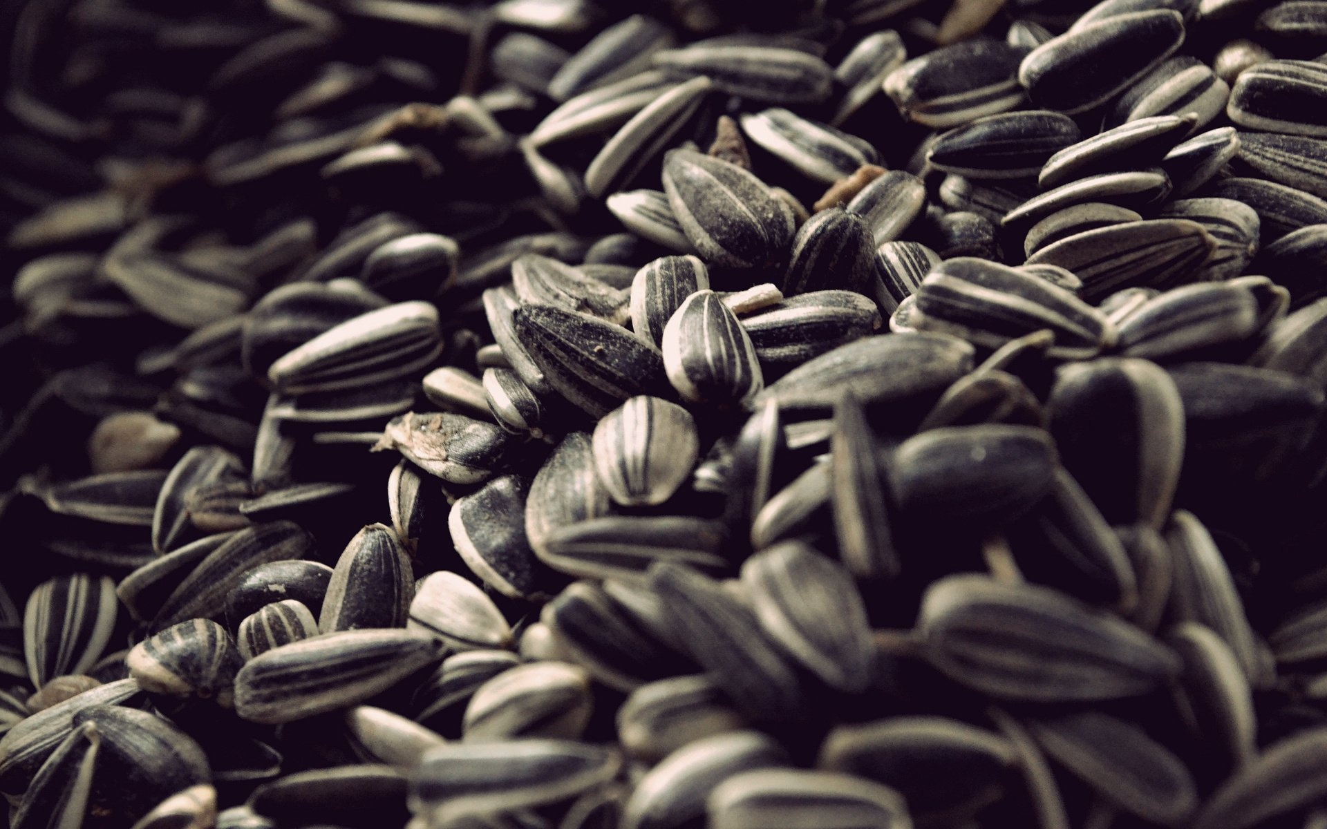 Seed inspiration, Creative potential, Natural marvels, Visual stimulation, 1920x1200 HD Desktop