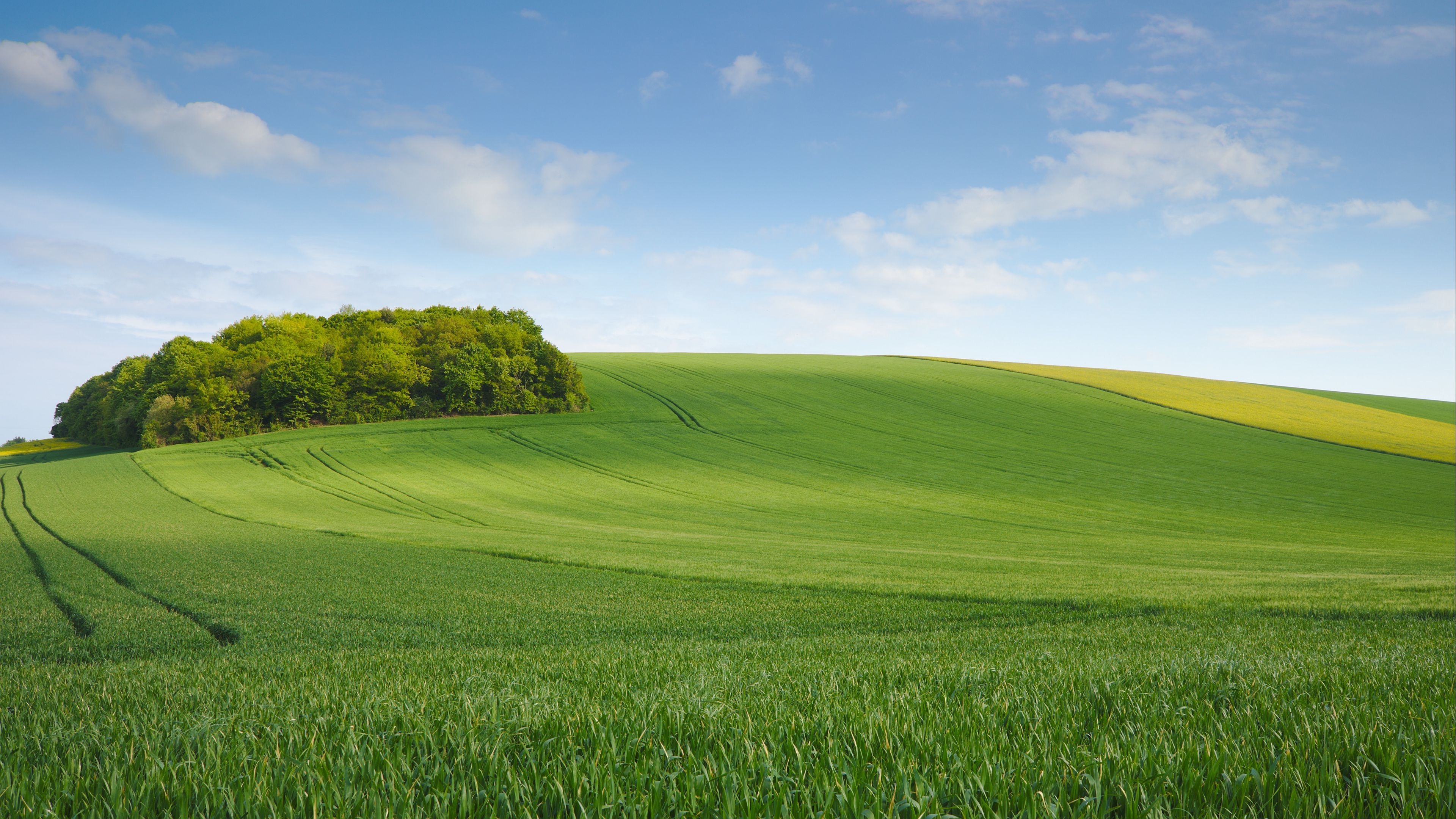 Grass hill wallpapers, Natural slopes, Breathtaking views, Rolling landscapes, 3840x2160 4K Desktop