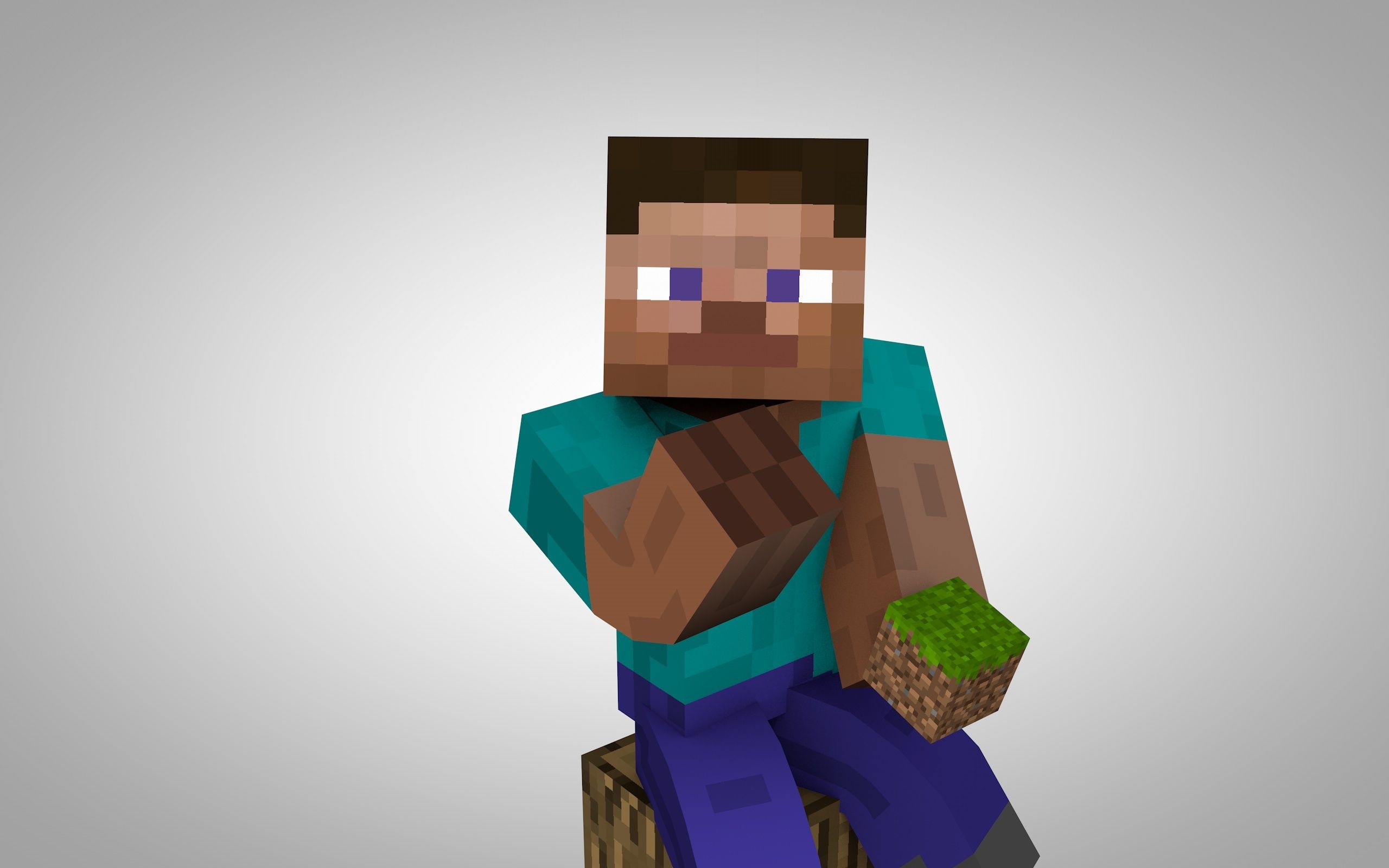 Minecraft Steve, Minecraft grass block, Oak wood planks block, HD Desktop wallpaper