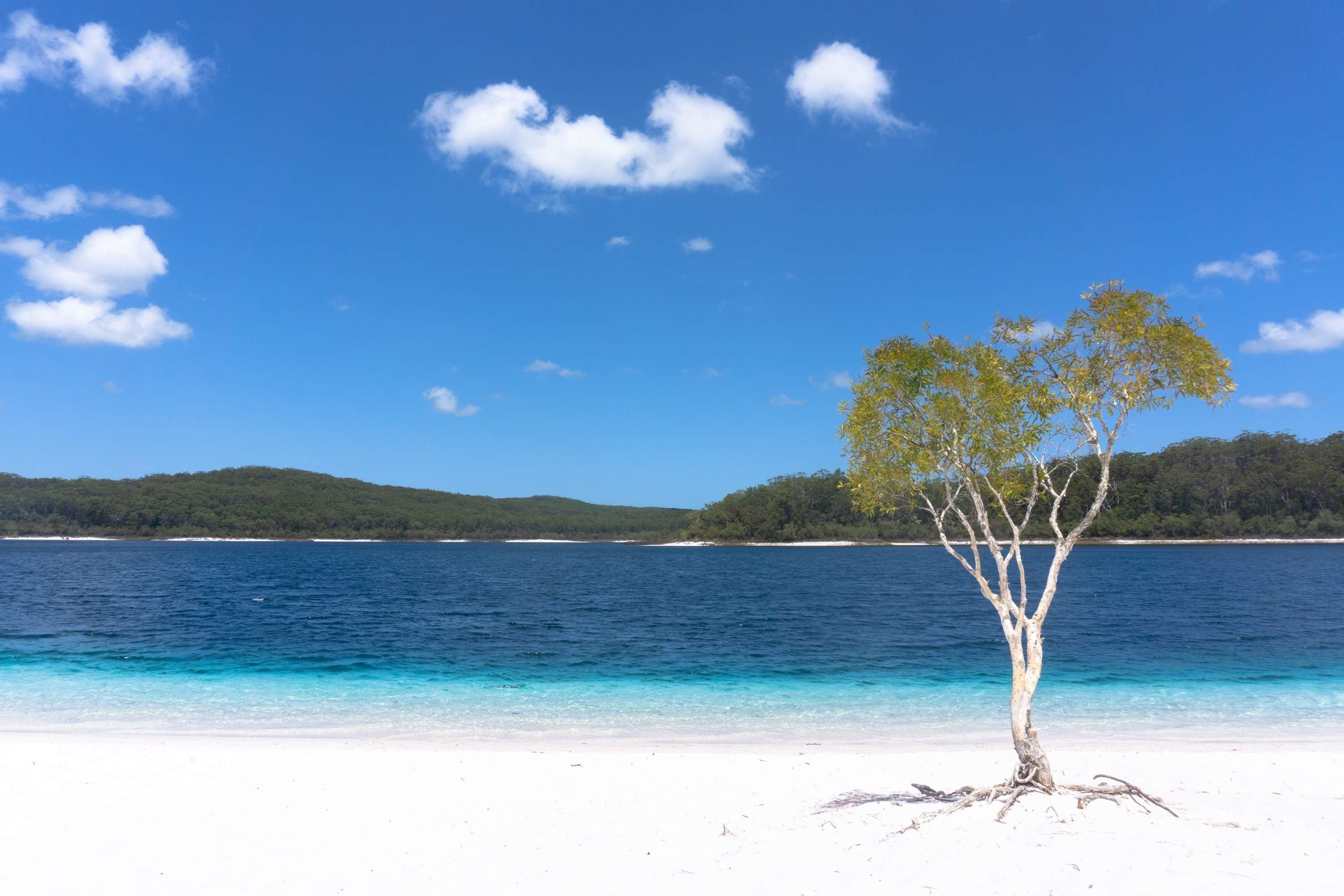 Fraser Island hiking, Visit Fraser Coast, Travels, Fraser Island, 3000x2000 HD Desktop