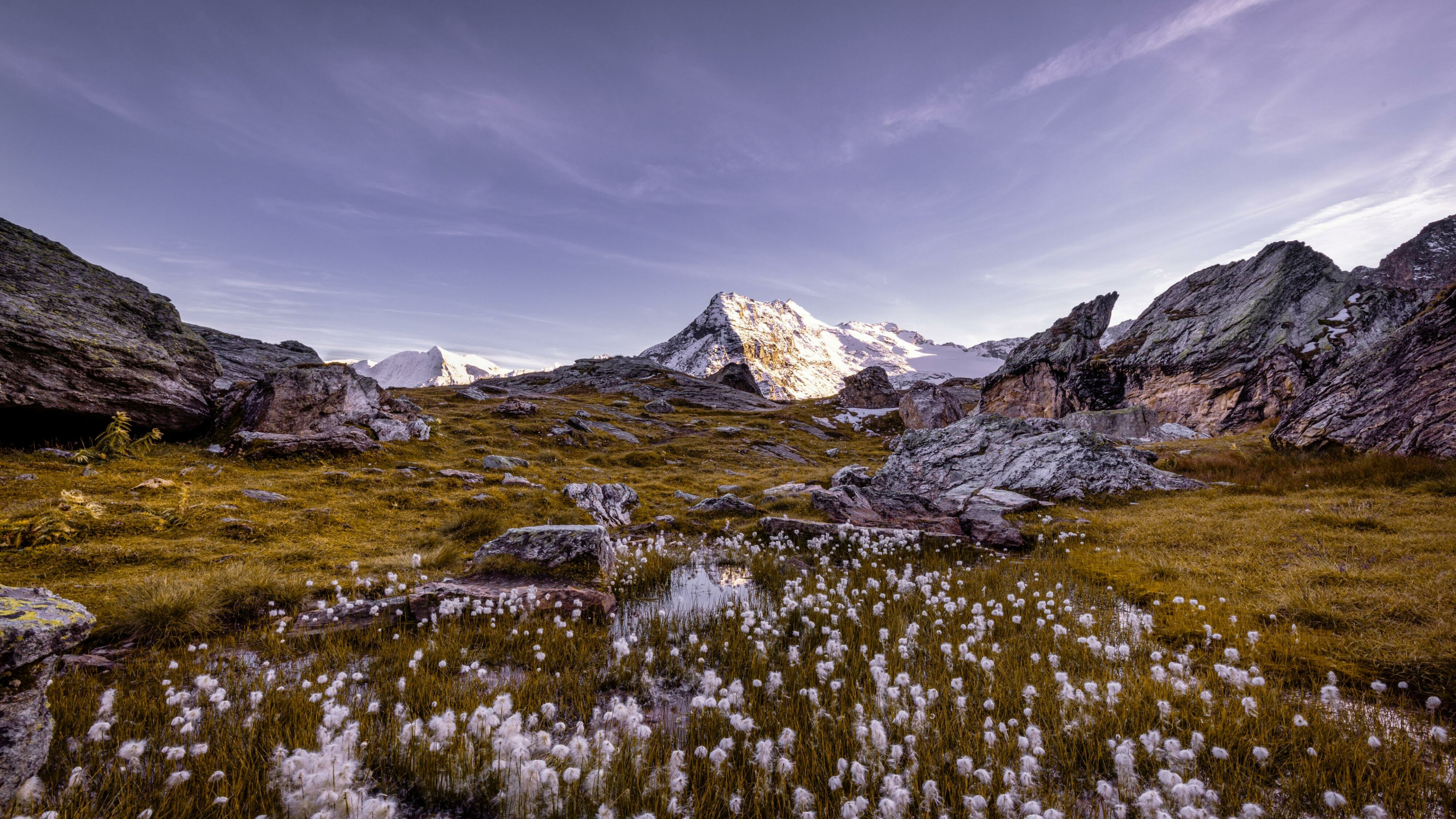 Swiss Alps mountain peak, Alpine cottongrass wetland meadow, Rocky alpine tundra landscape, 4K Desktop wallpaper