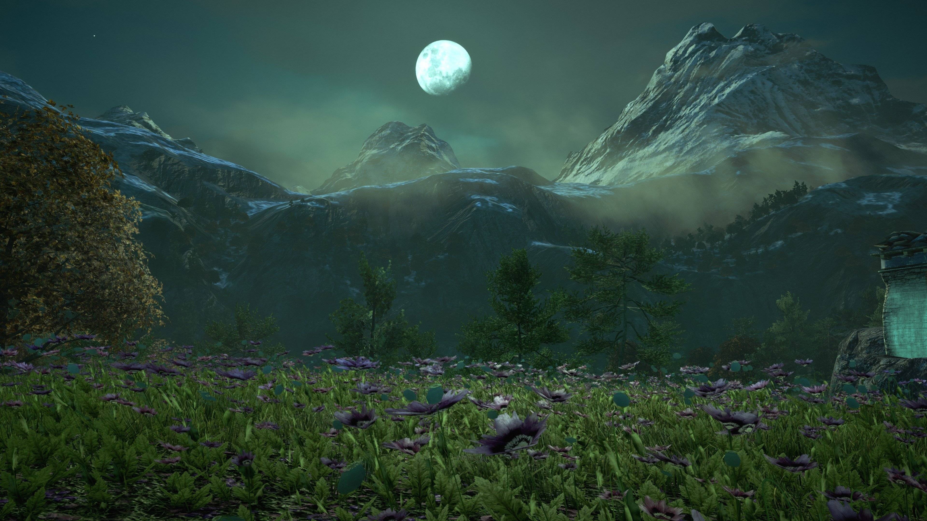 Kyrat mountain landscape, Purple poppy flower field, Full moon night sky, 4K Desktop wallpaper