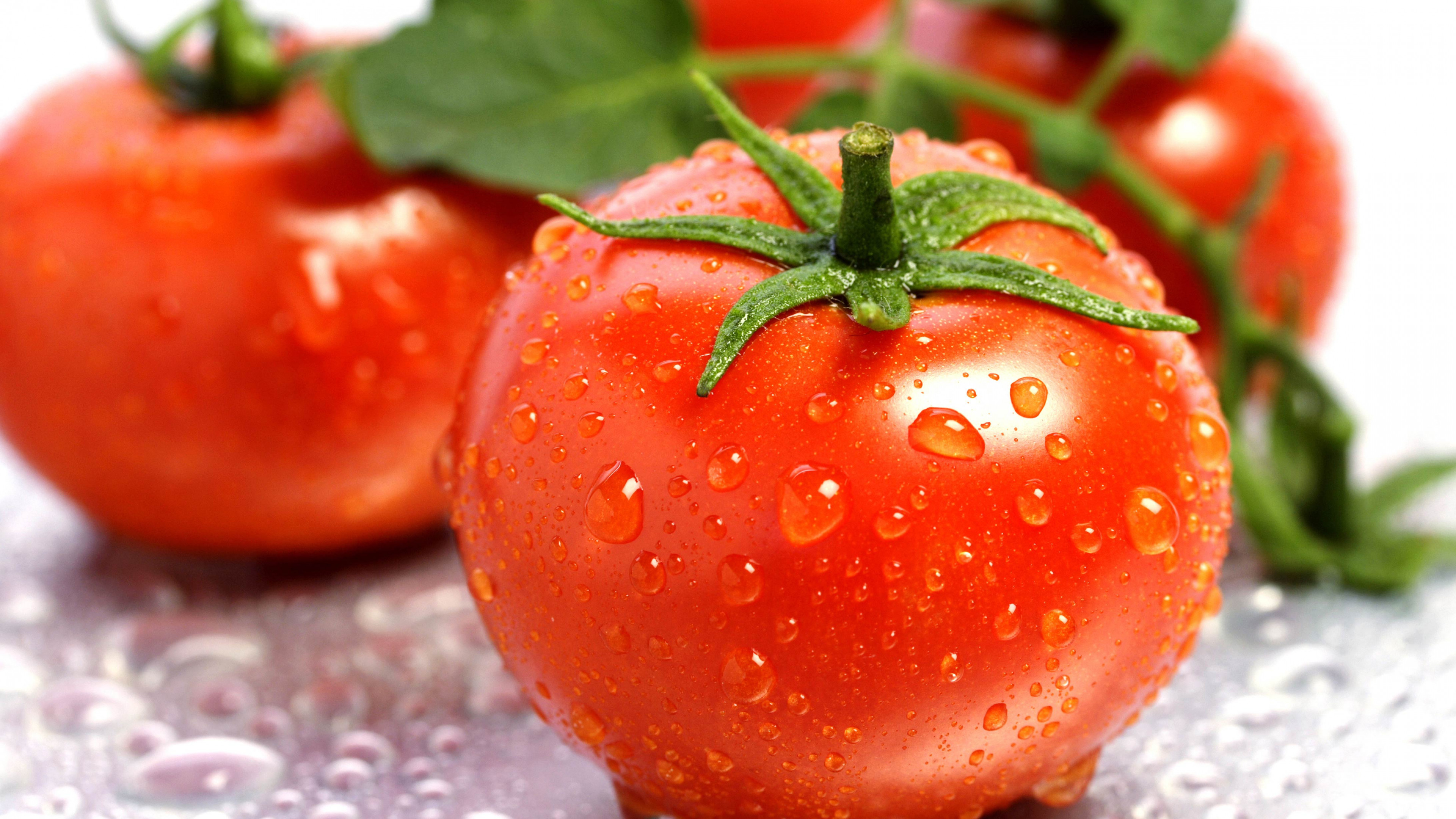 High-quality image, Detailed photography, Juicy tomato, Desktop wallpaper, 3840x2160 4K Desktop