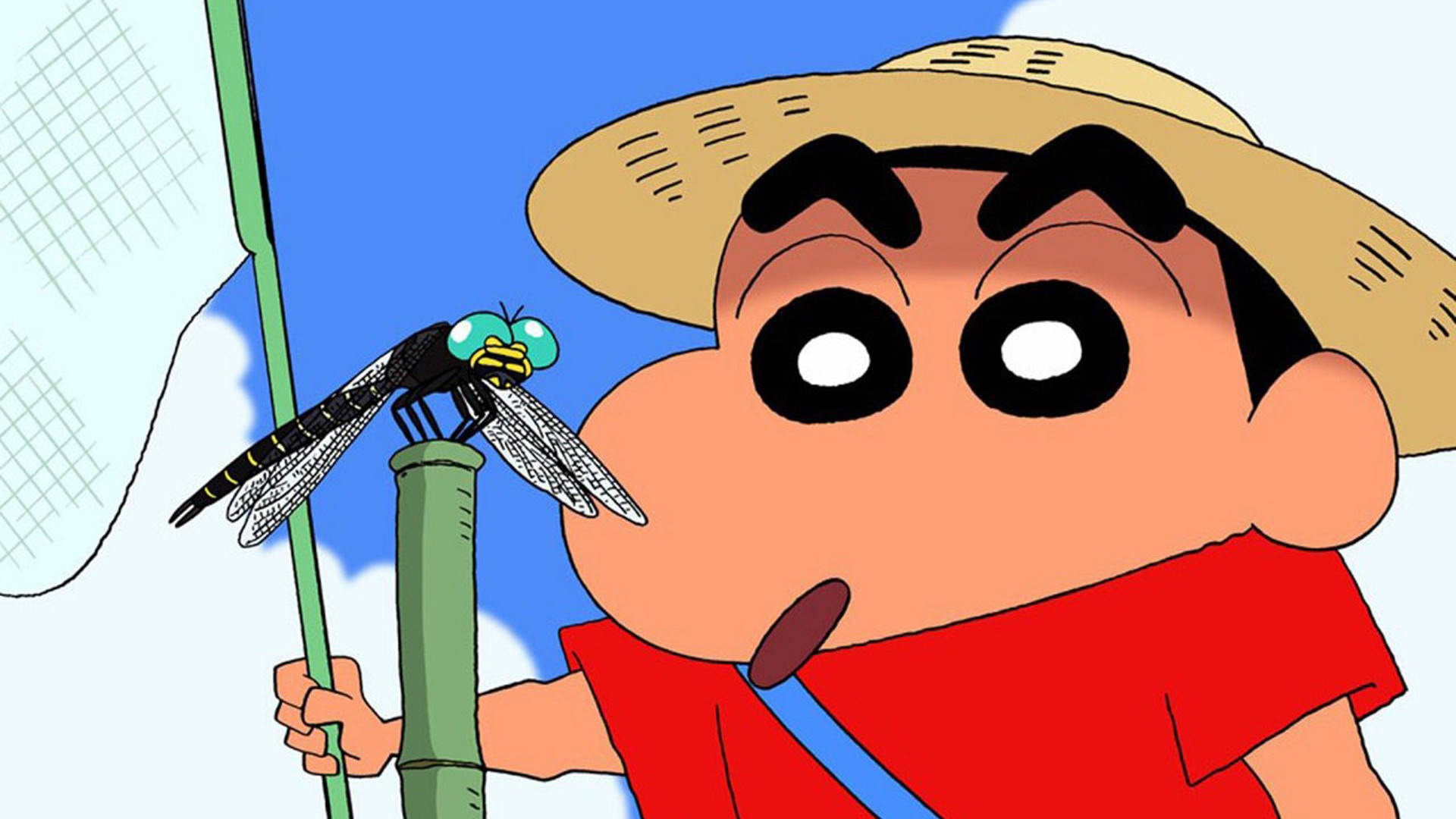 Shinnosuke Nohara, dragonfly on bamboo stick, straw hat and bugnet, Full HD Desktop wallpaper