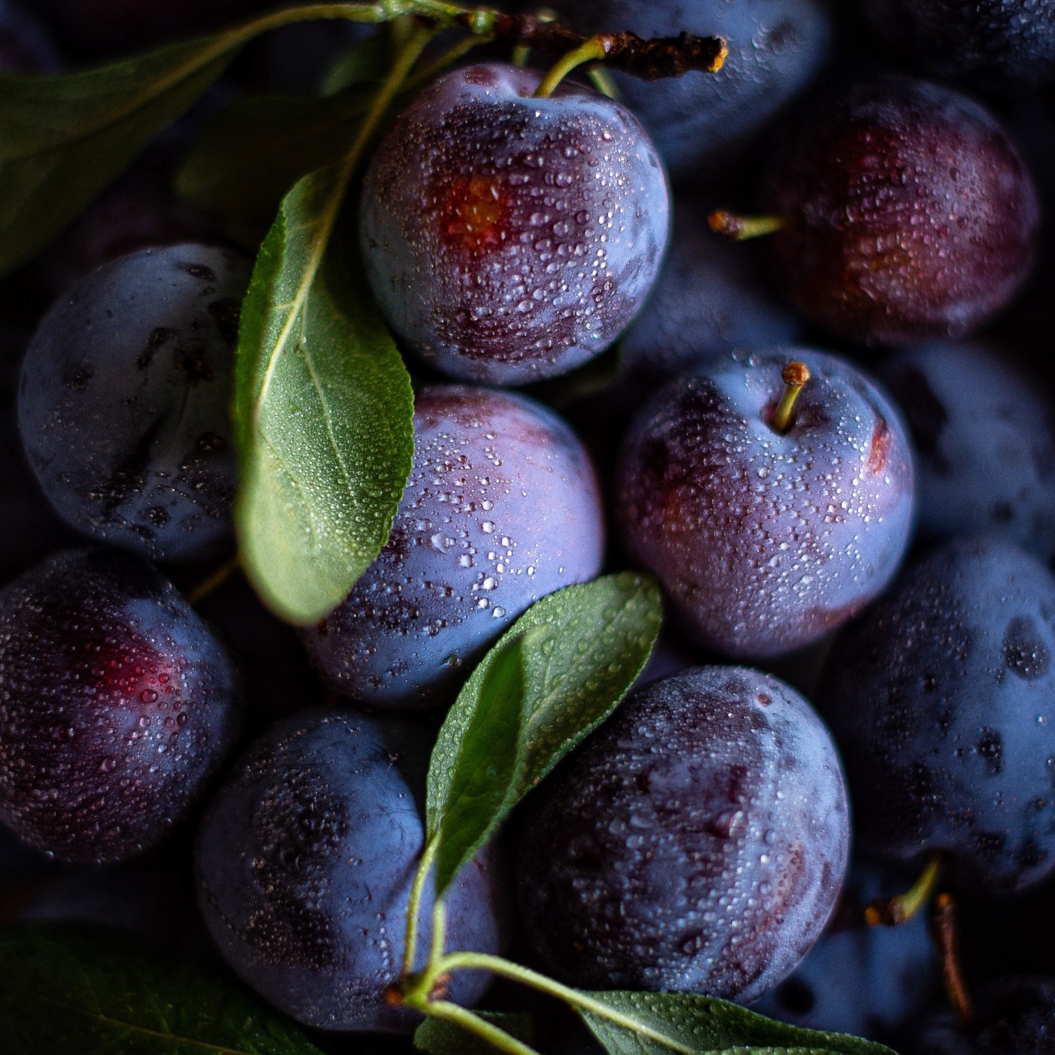 Health benefits, Amazing plums, 2150x2160 HD Phone