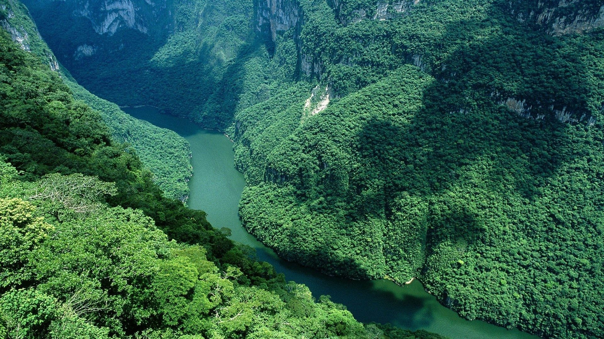 Amazon River, Travels, South America, River Cruise, 1920x1080 Full HD Desktop
