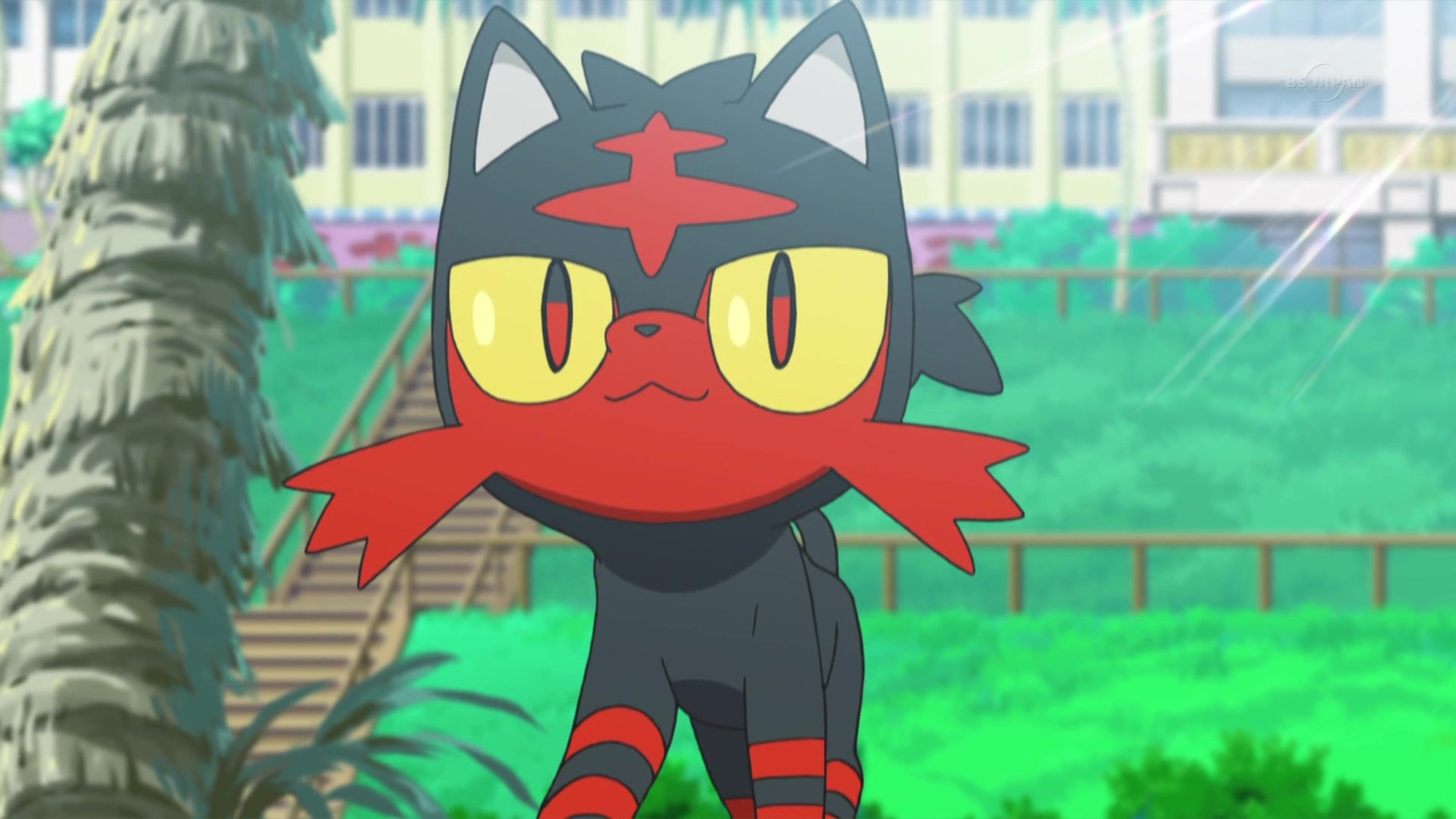 Litten, Pokemon anime, 1080p, Bilibili, 1920x1080 Full HD Desktop