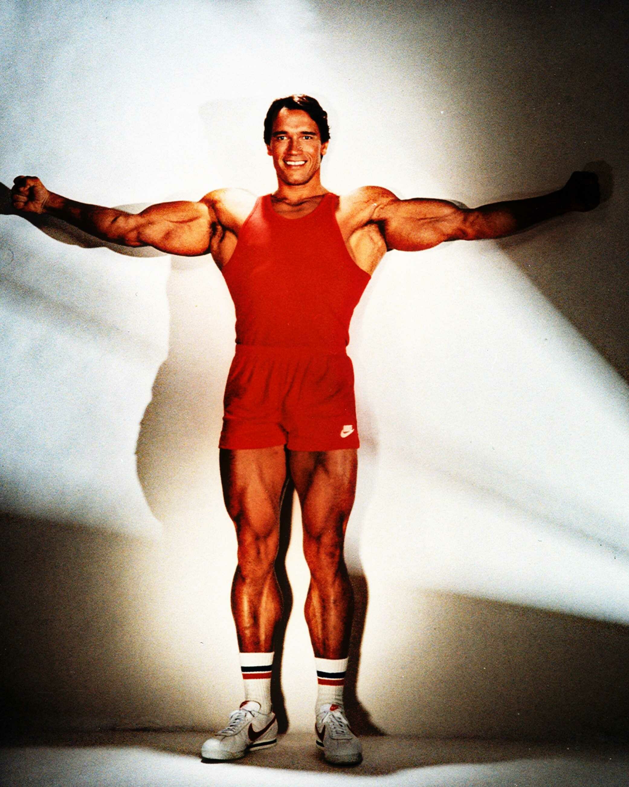Arnold Schwarzenegger Bodybuilding Wallpaper Hd Desktop Wallpapers Arnold Schwarzenegger Bodybuilding Wallpaper Hd Desktop Wallpapers