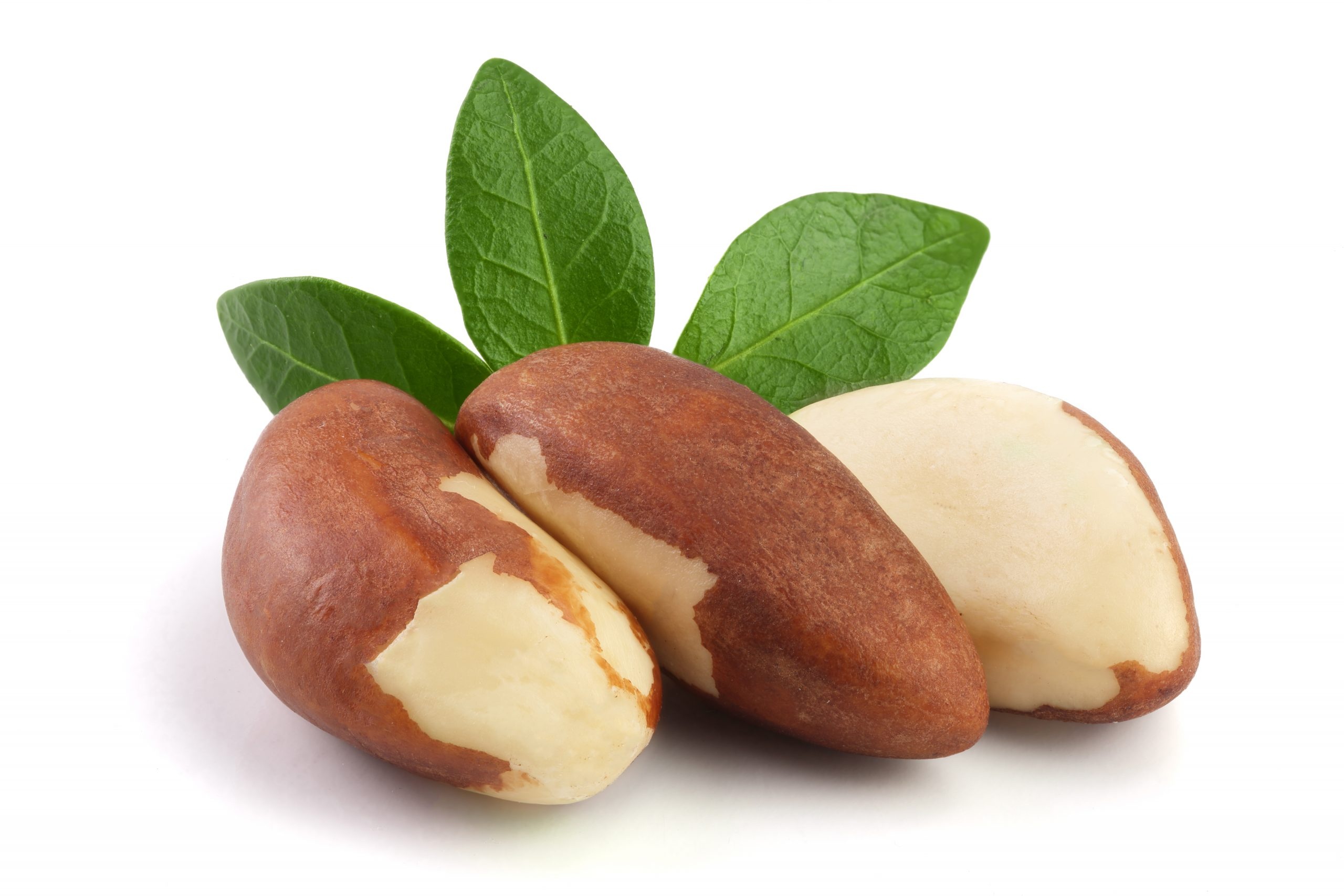 Brazil nuts with leaves, Isolated nut beauty, Close-up capture, Nature's perfection, 2560x1710 HD Desktop