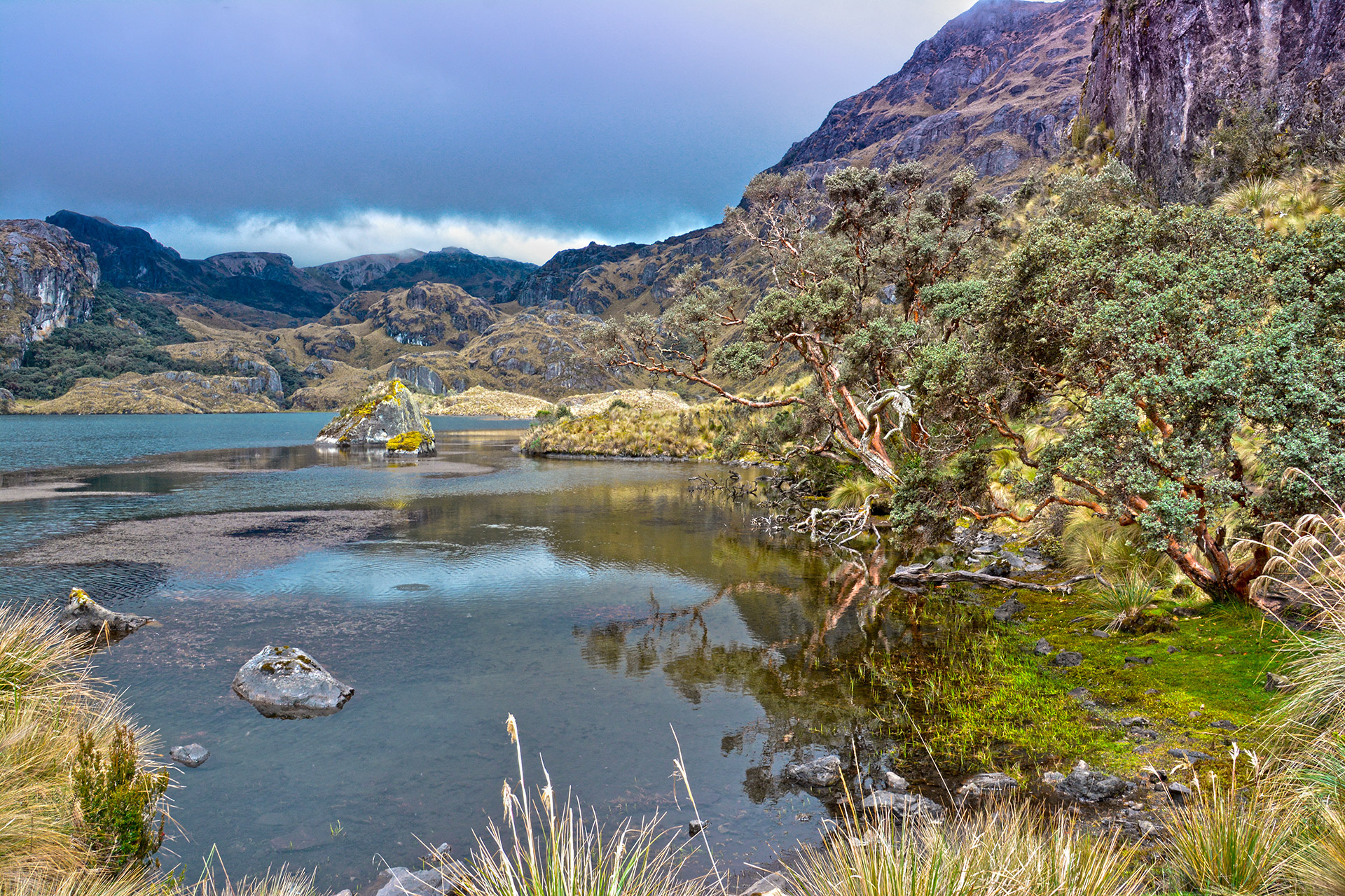 Cuyabeno National Park, El Cajas Ecuador, Exciting vacation, Adventurous trip, 1920x1280 HD Desktop