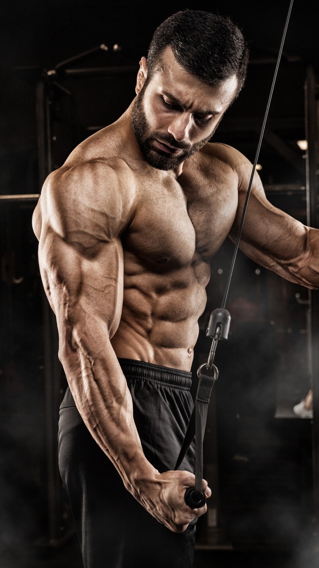 Muscular male bodybuilder, Gym cable pulley machine, Vascular defined triceps, Full HD Phone wallpaper