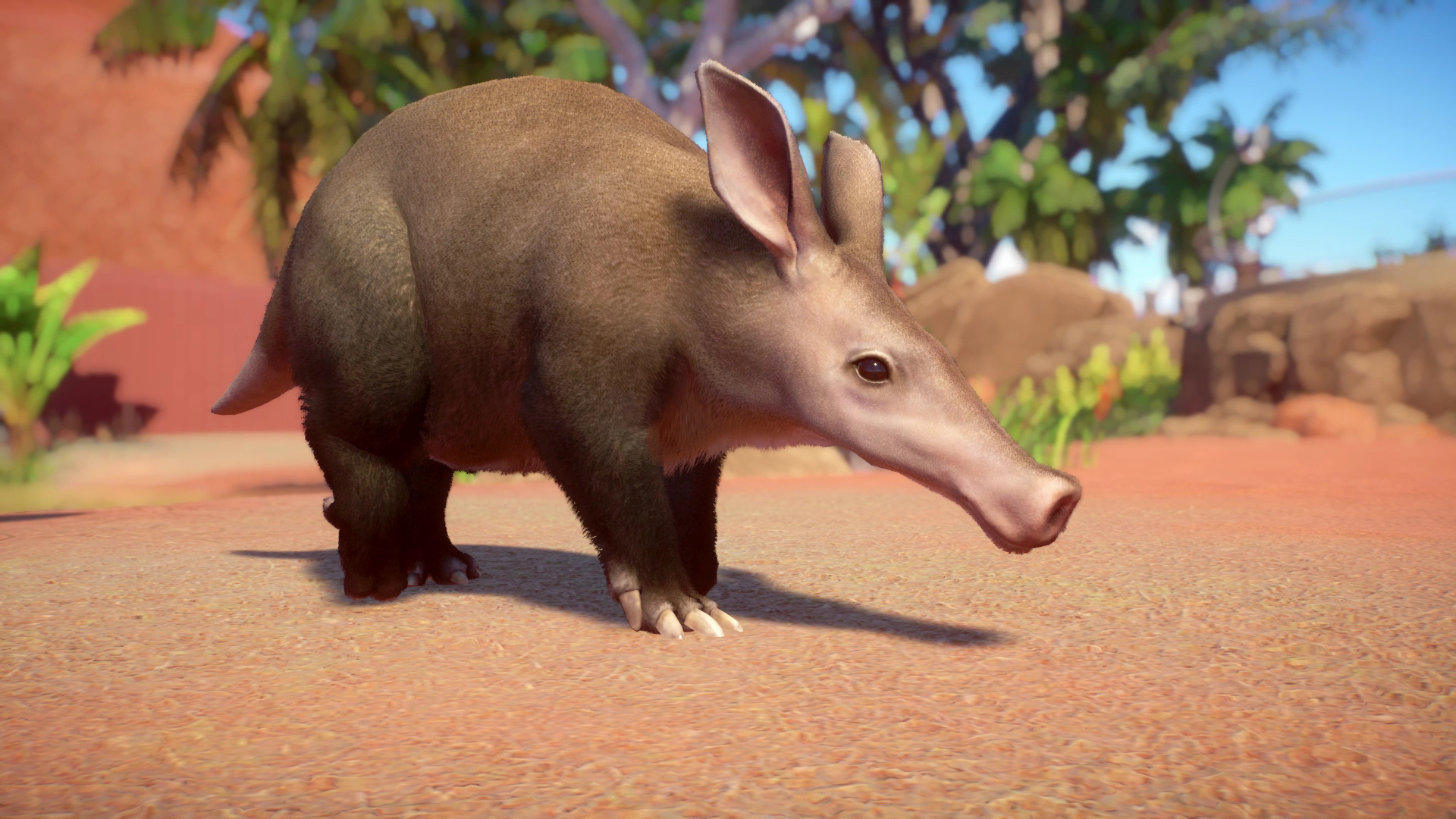 Aardvark, Habitat, Marebbi zoo, Rplanetzoo, 1920x1080 Full HD Desktop