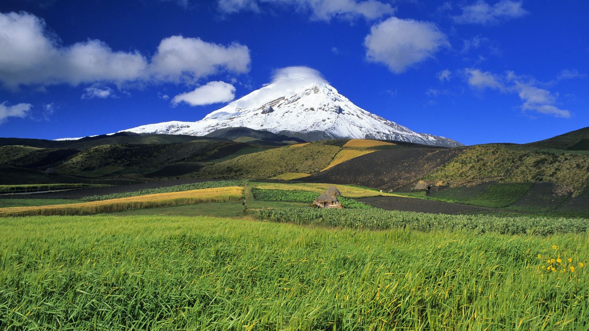 Cotopaxi, Wallpapers, Ecuador, Backgrounds, 1920x1080 Full HD Desktop