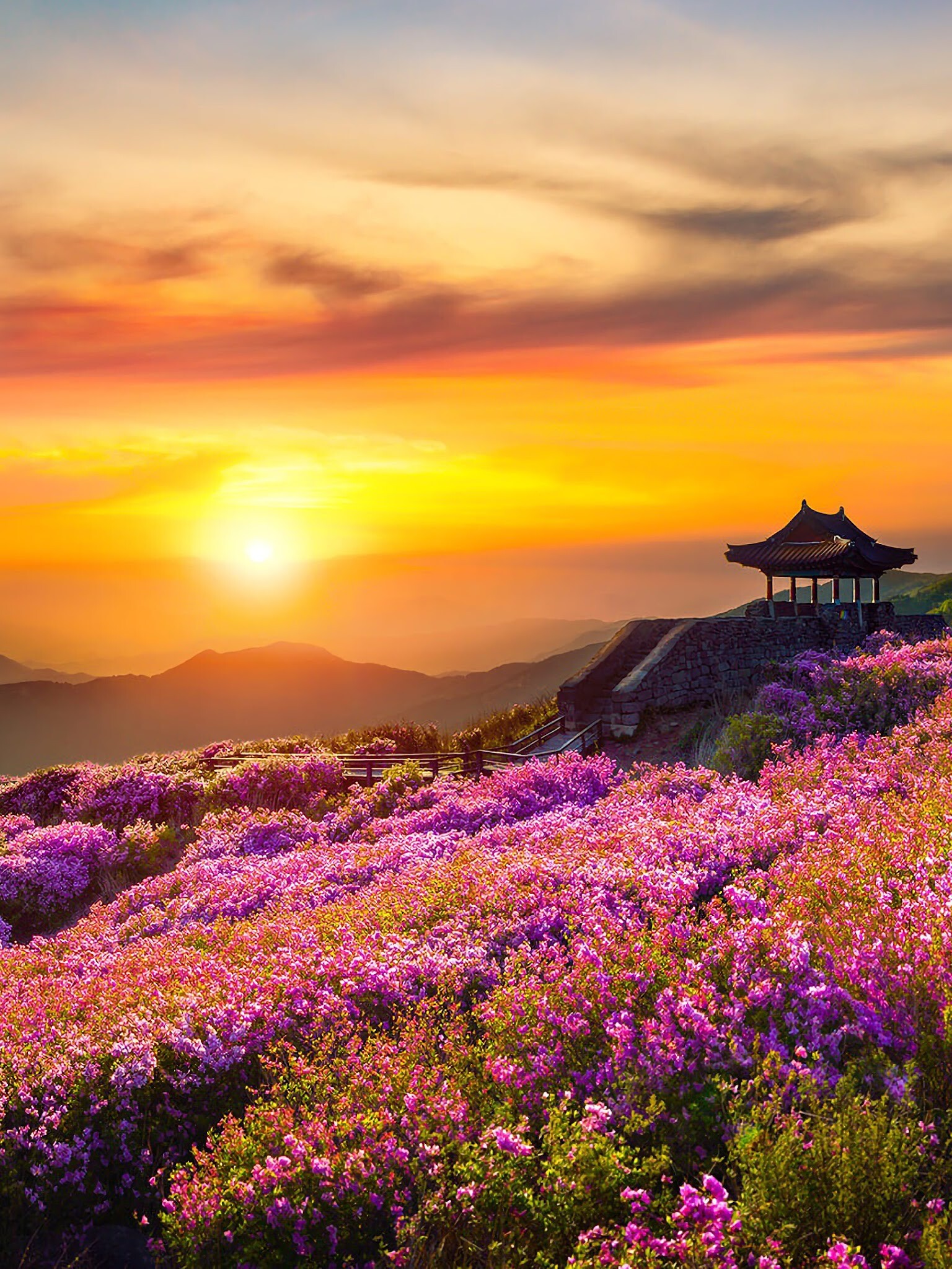 Korean landscape, Sunsets Wallpaper, 1540x2050 HD Phone