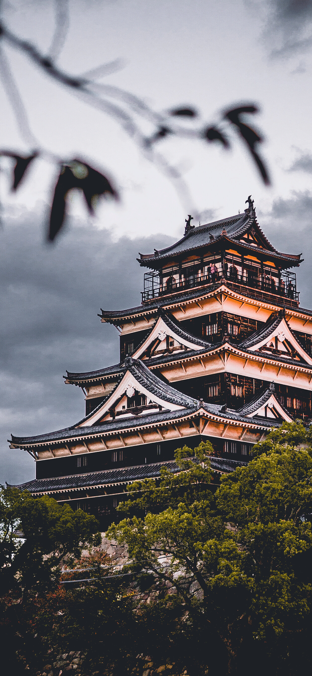 Hiroshima Castle, Japan Wallpaper, 1250x2690 HD Phone