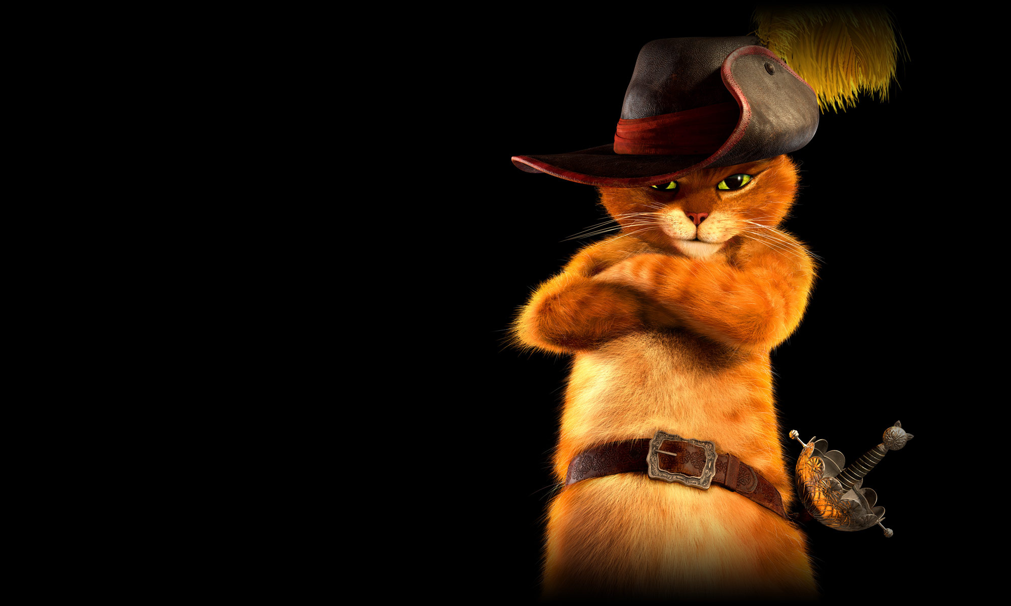 Puss in Boots, Desktop wallpaper, DreamWorks animation, Feline adventure, 2000x1200 HD Desktop