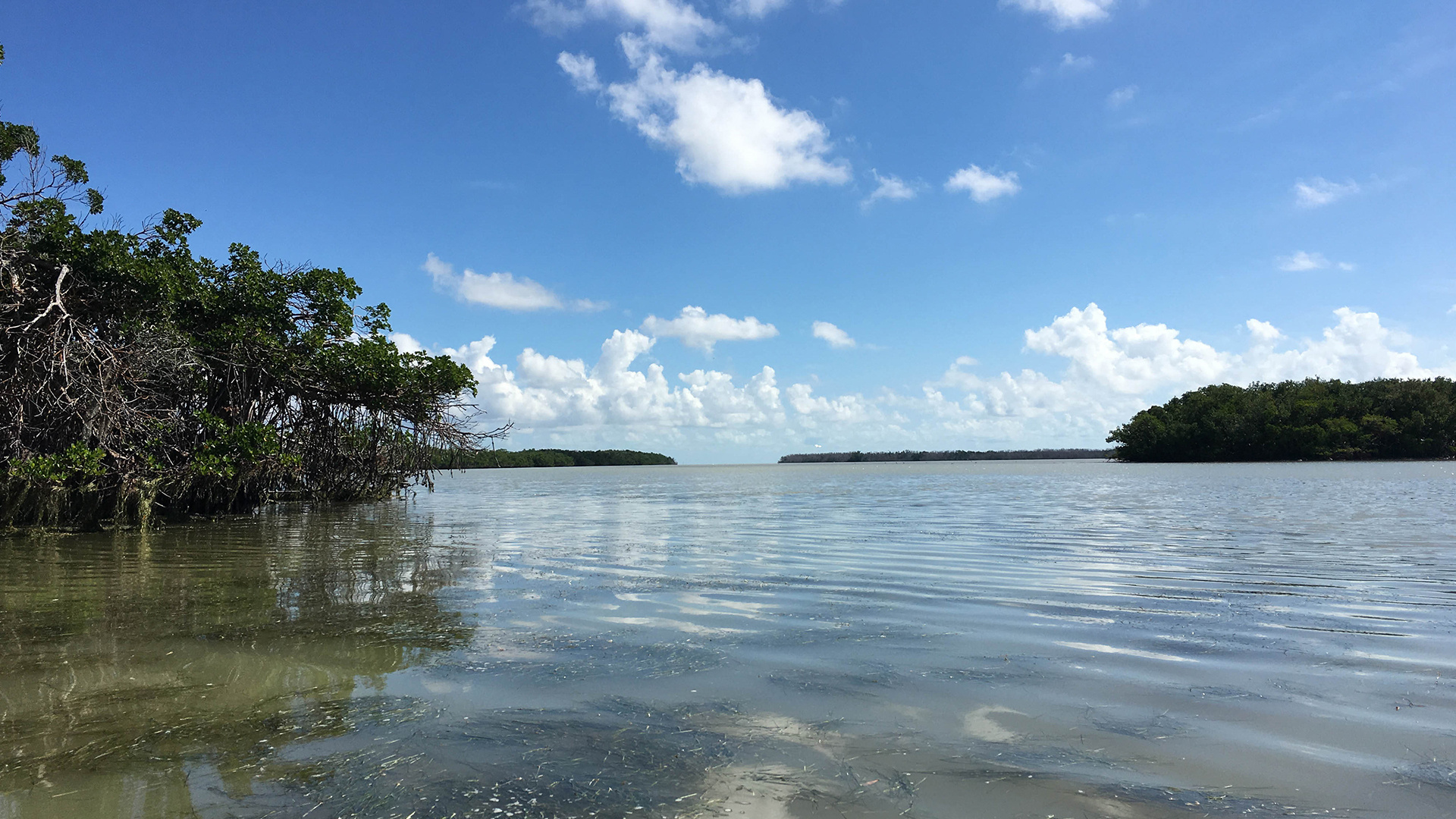 Everglades National Park, Best campgrounds, Perfect for airstreams, Outdoor adventure, 1920x1080 Full HD Desktop