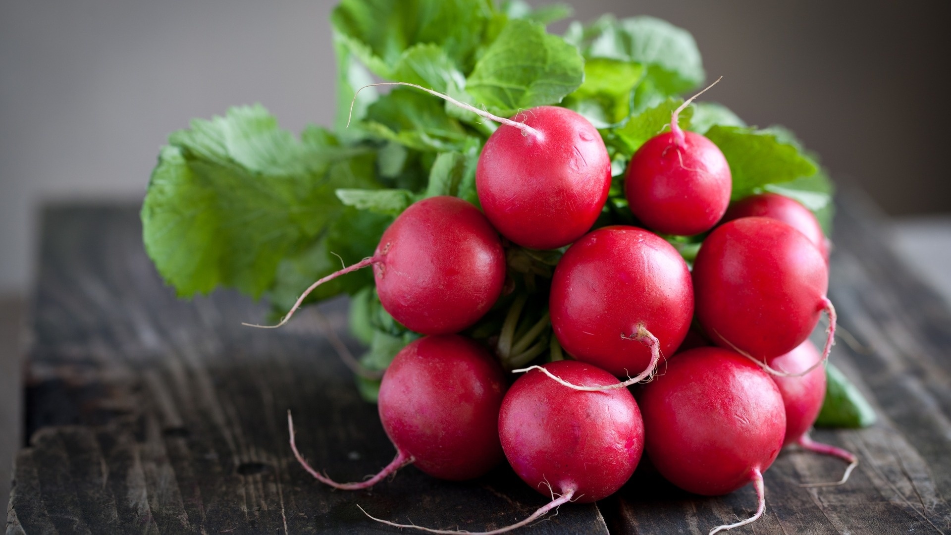 Archaeology of fruits and vegetables, Red radish, Culinary history, Chefs mandala, 1920x1080 Full HD Desktop