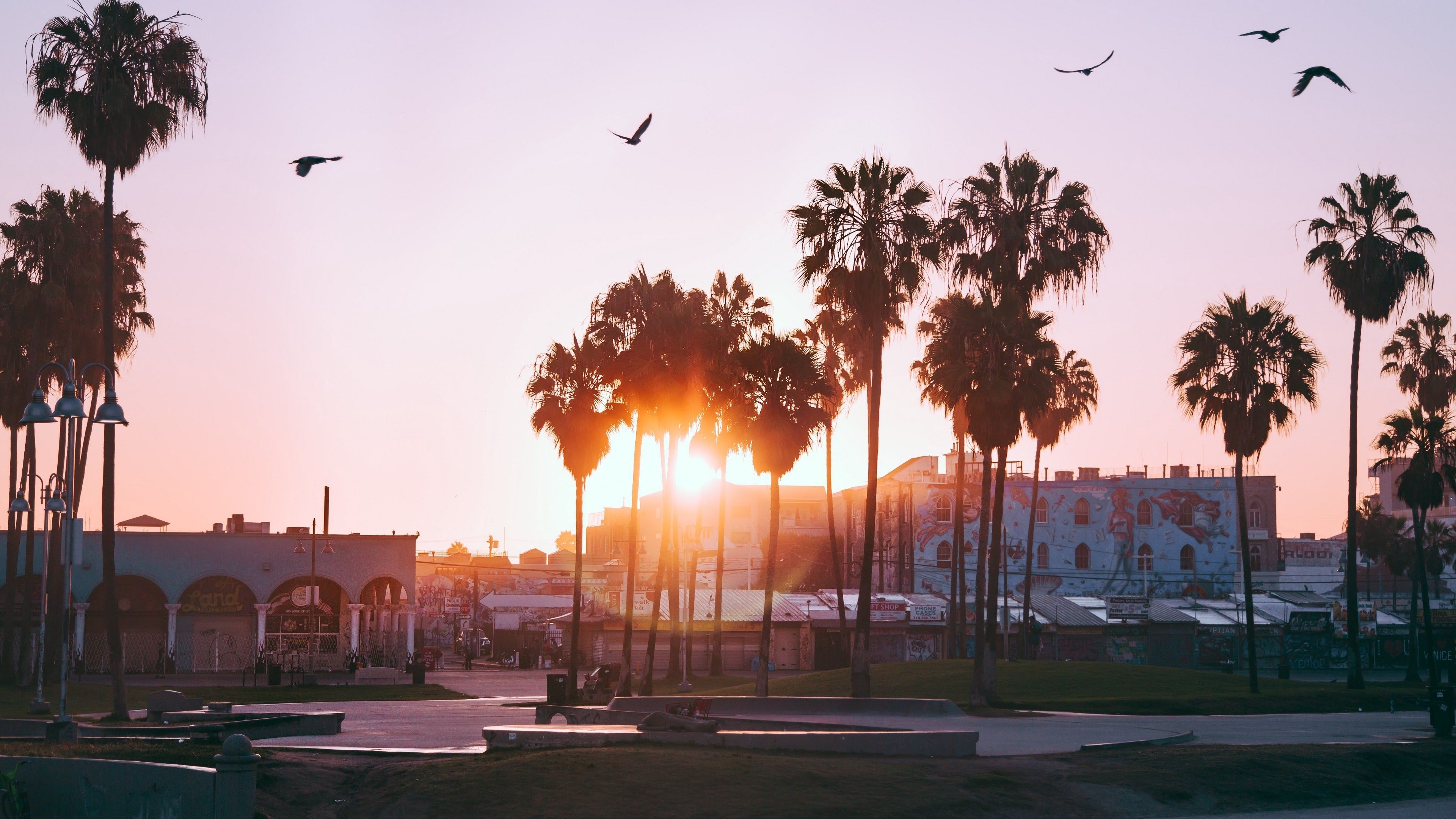 Palm tree paradise, Coastal sunset, California dream, Beach scenery, 3840x2160 4K Desktop