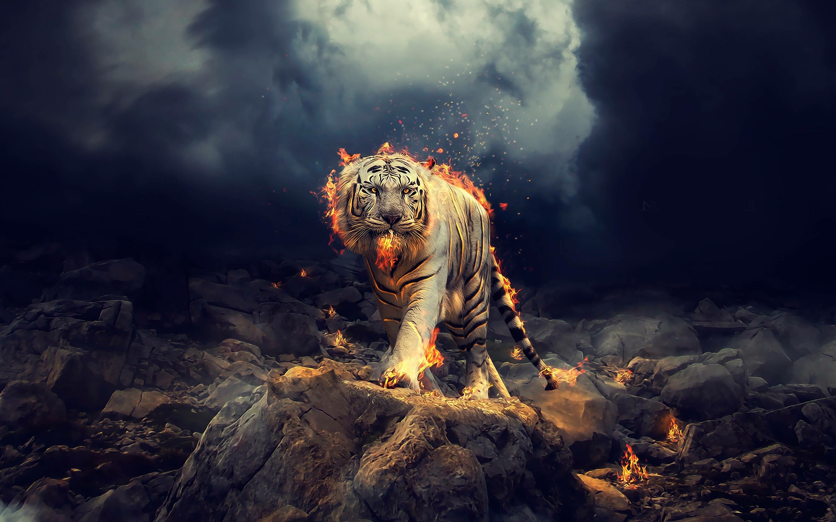 4K tiger wallpapers, Stunning backgrounds, Captivating imagery, Majestic beauty, 3200x2000 HD Desktop