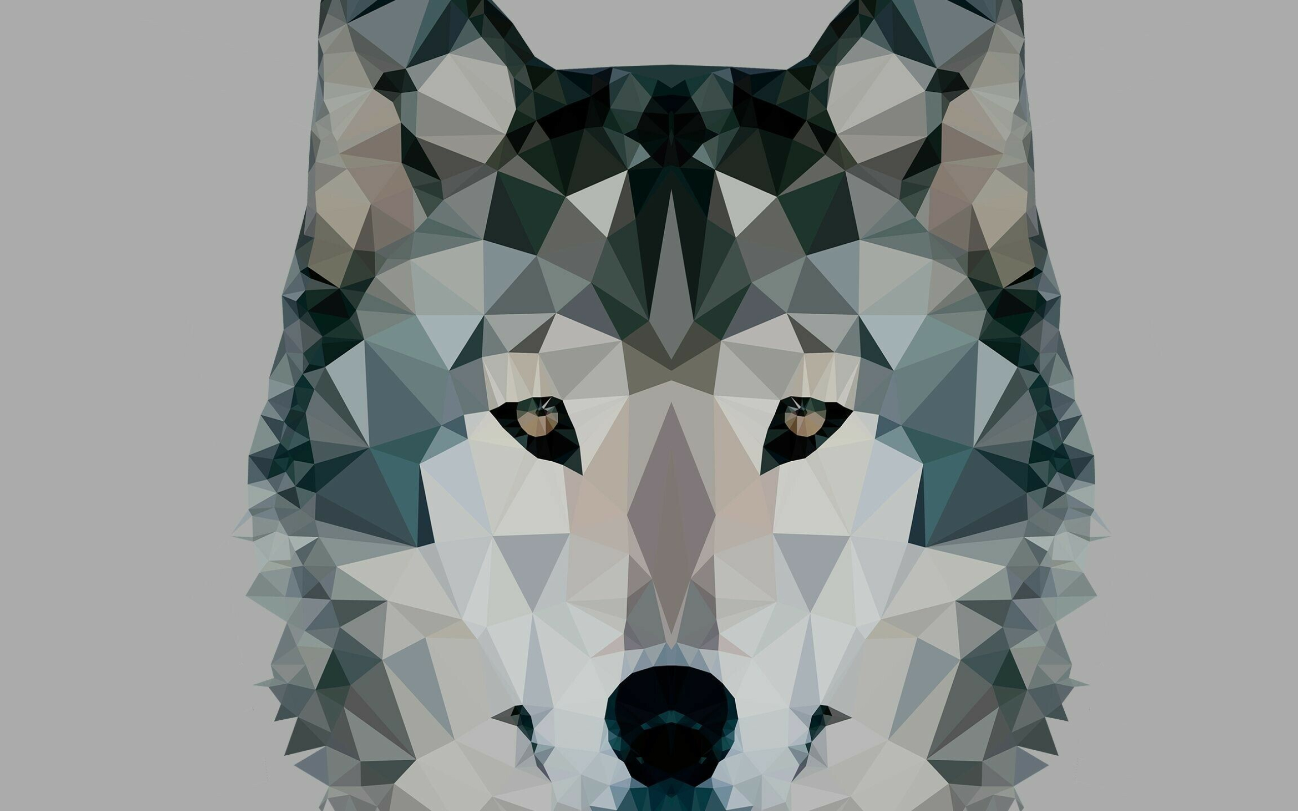 Abstract wolf wallpapers HD 4K, Creative artistry, Bold and vibrant, Unique interpretations, 2560x1600 HD Desktop