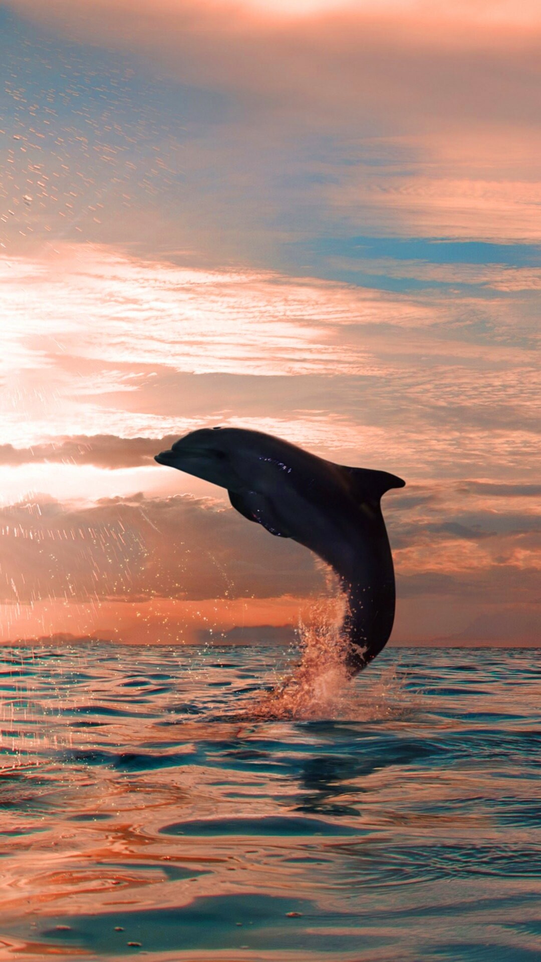 Aesthetic dolphin wallpaper, Stunning visual appeal, Free high-definition backgrounds, Artistic design, 1080x1920 Full HD Phone