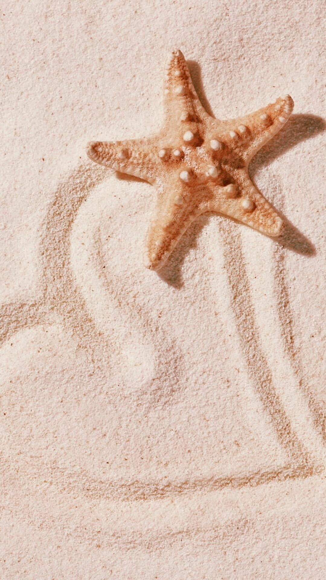 Heart, Starfish Wallpaper, 1080x1920 Full HD Phone