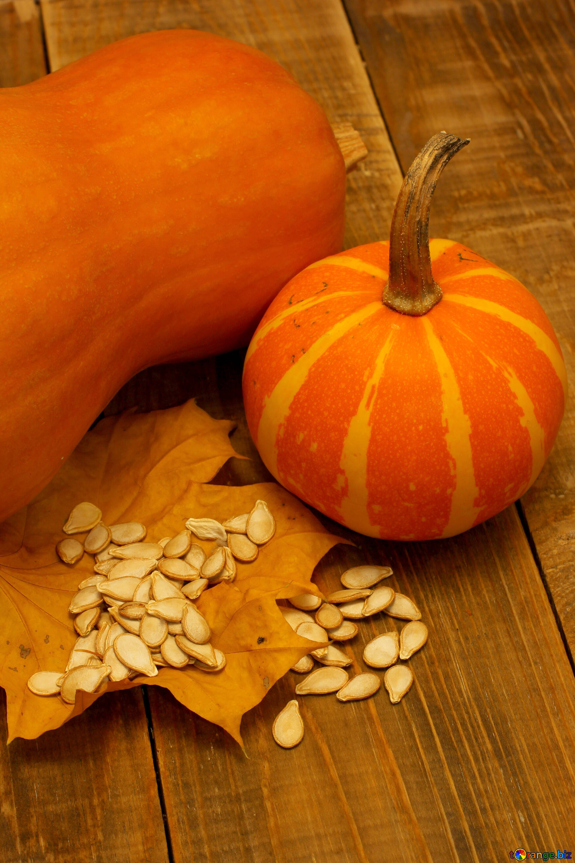 Pumpkin seeds image, Free stock photos, 1920x2880 HD Phone