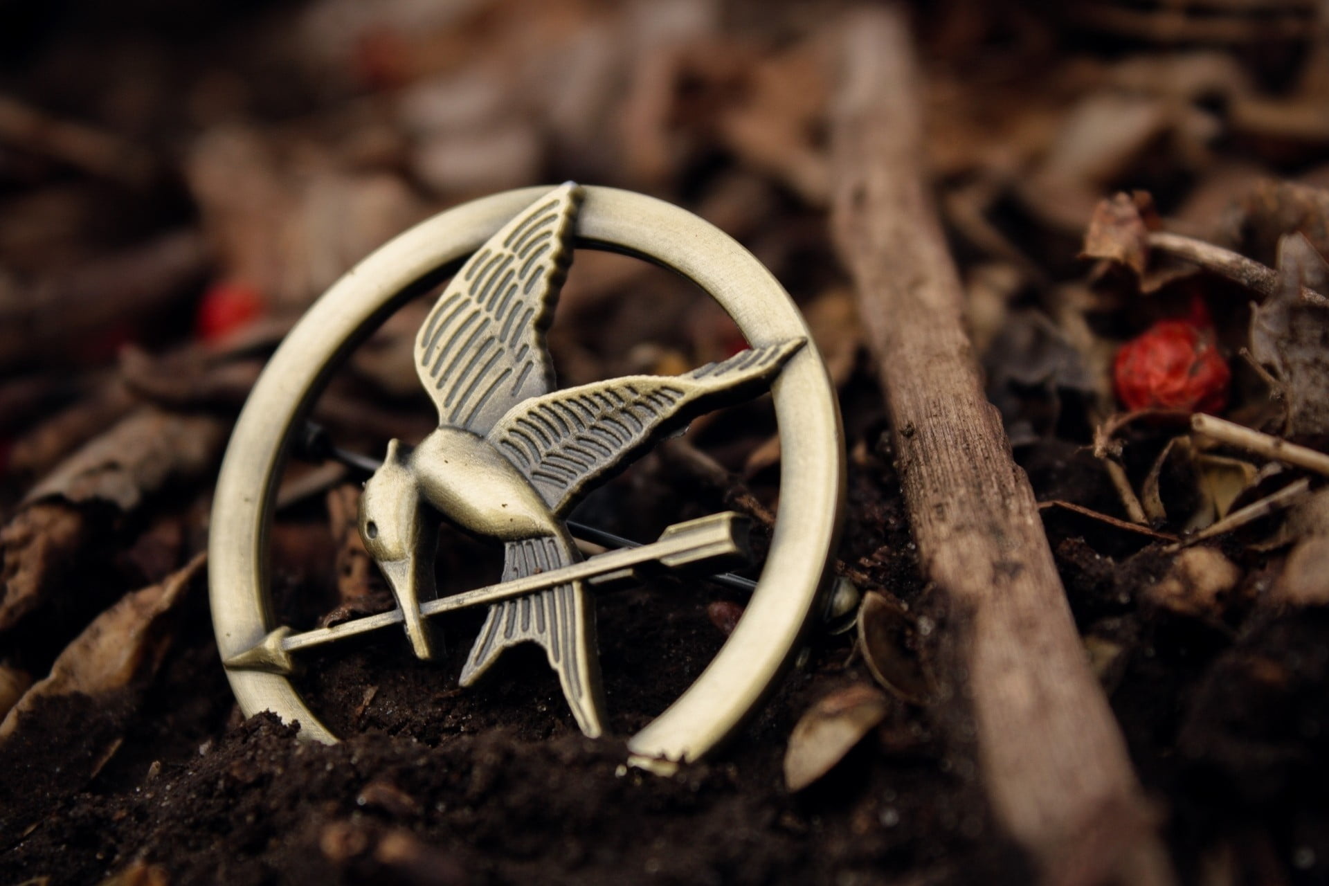 Mockingjay, Brooch Wallpaper, 1920x1280 HD Desktop