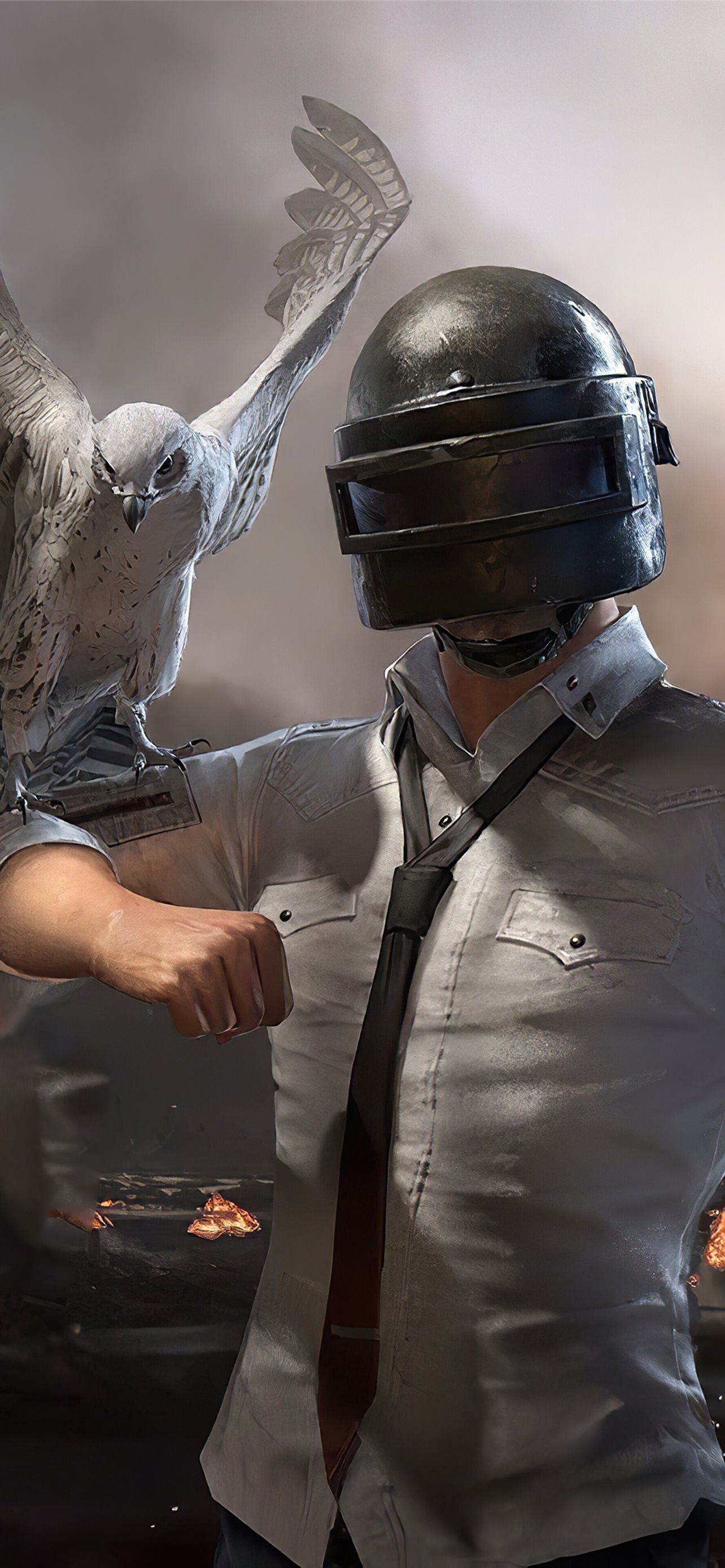 PUBG Lone Survivor, Spetsnaz Level 3 helmet, falcon companion, HD Phone wallpaper