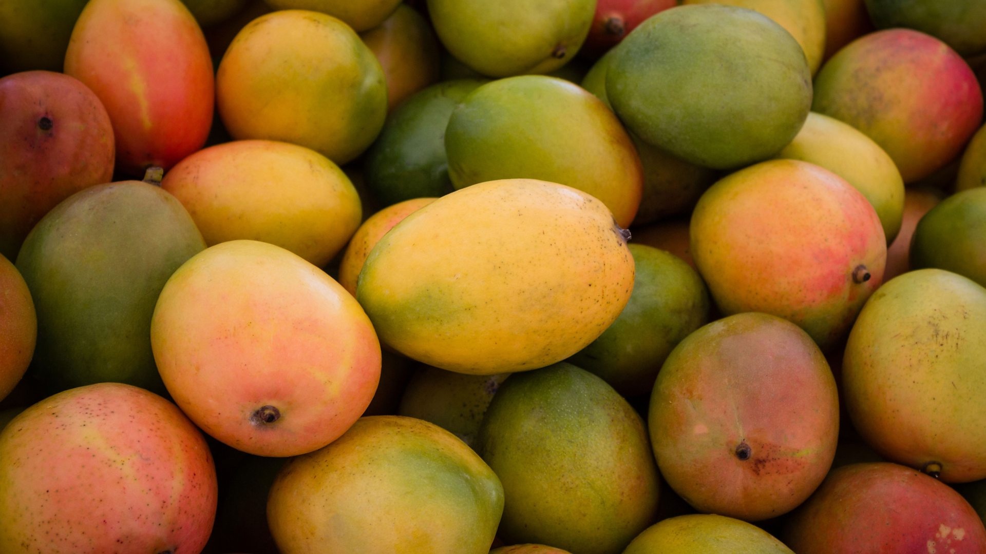 Interesting mango facts, Juicy and delicious, Mango on the radio, Fruit trivia, 1920x1080 Full HD Desktop