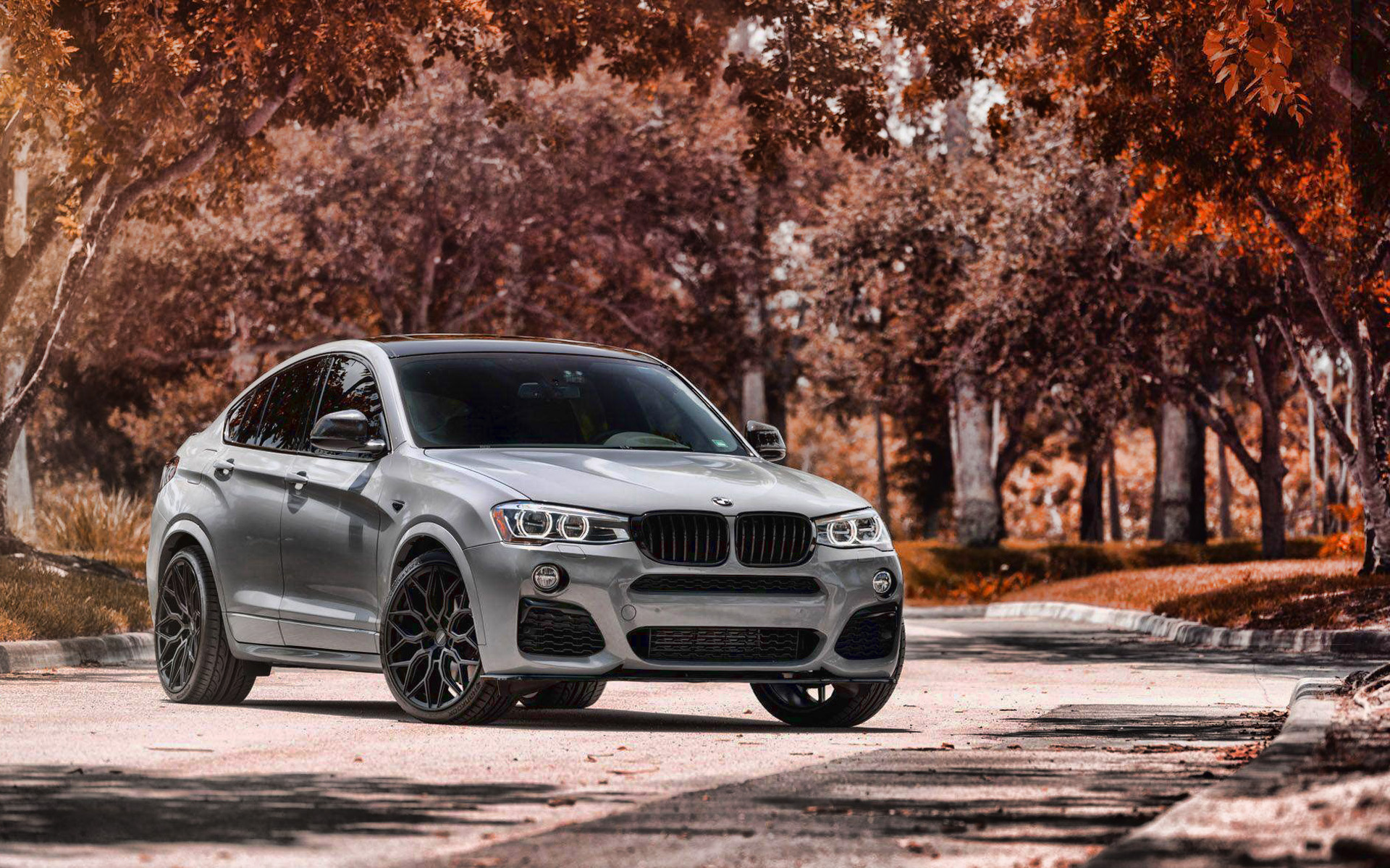 BMW X4 M40i, Tuning, Autumn, 1920x1200 HD Desktop