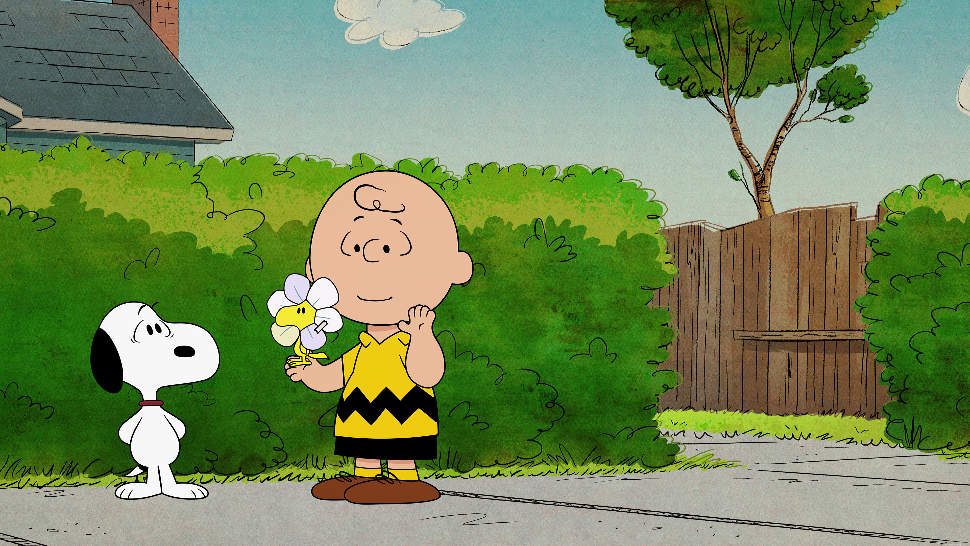 Charlie Brown, Snoopy, Woodstock, 4K Desktop wallpaper