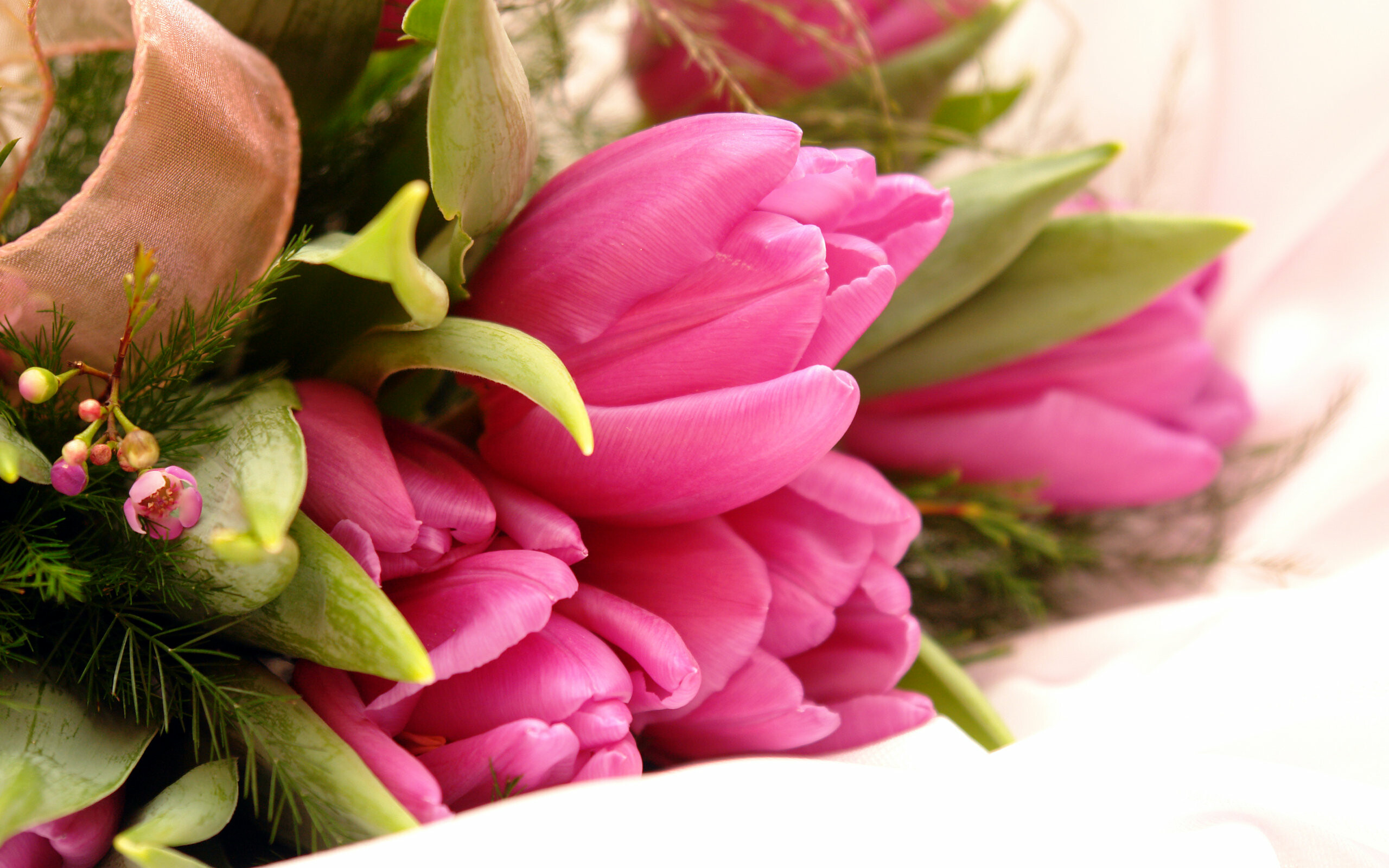 Fancy pink flowers, HD wallpapers, Desktop, Mobile and tablet friendly, 2560x1600 HD Desktop